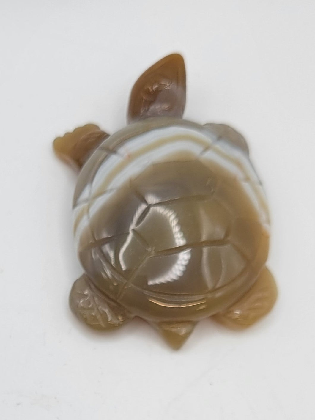 Turtle - various materials (medium)