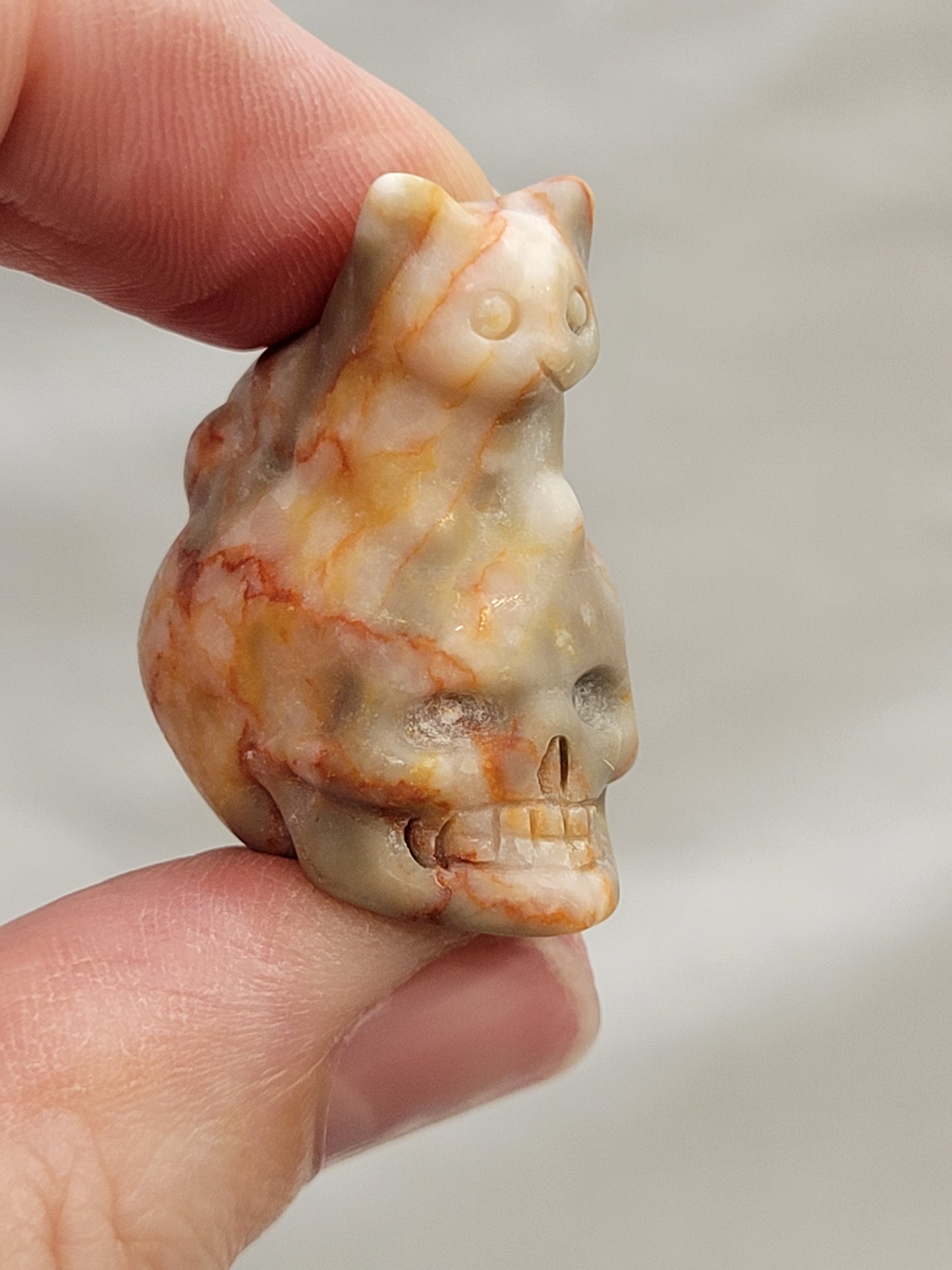Mini skull w/ cat on top