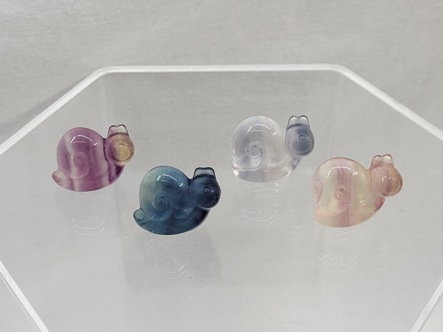 Fluorite mini - snail
