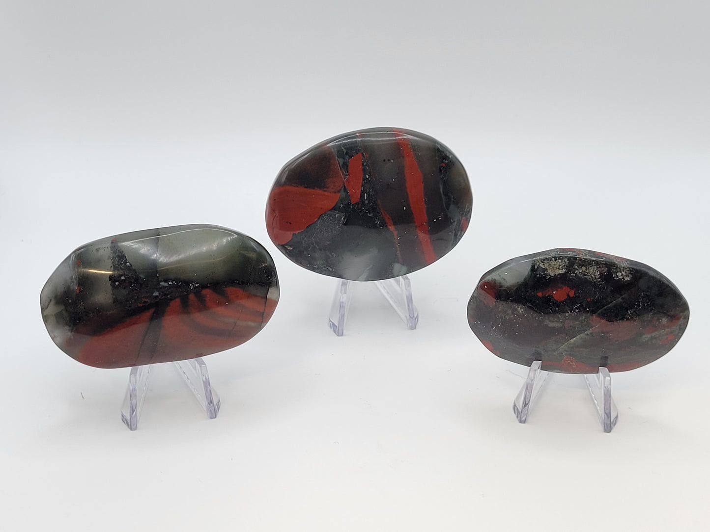 African Bloodstone palm