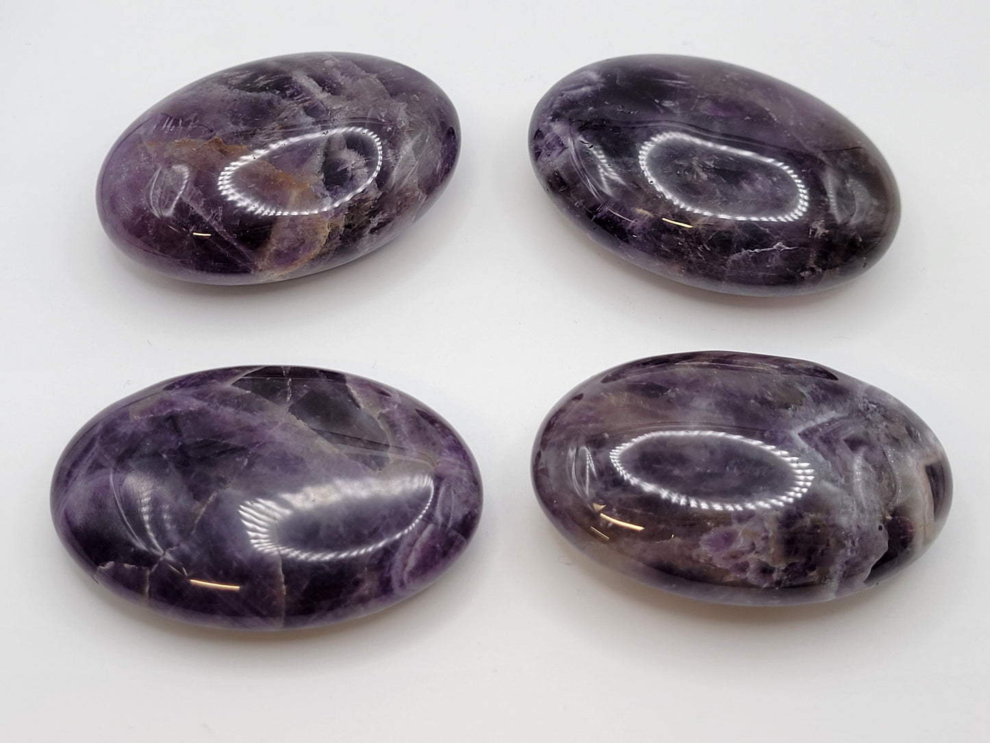 Dream Amethyst palm