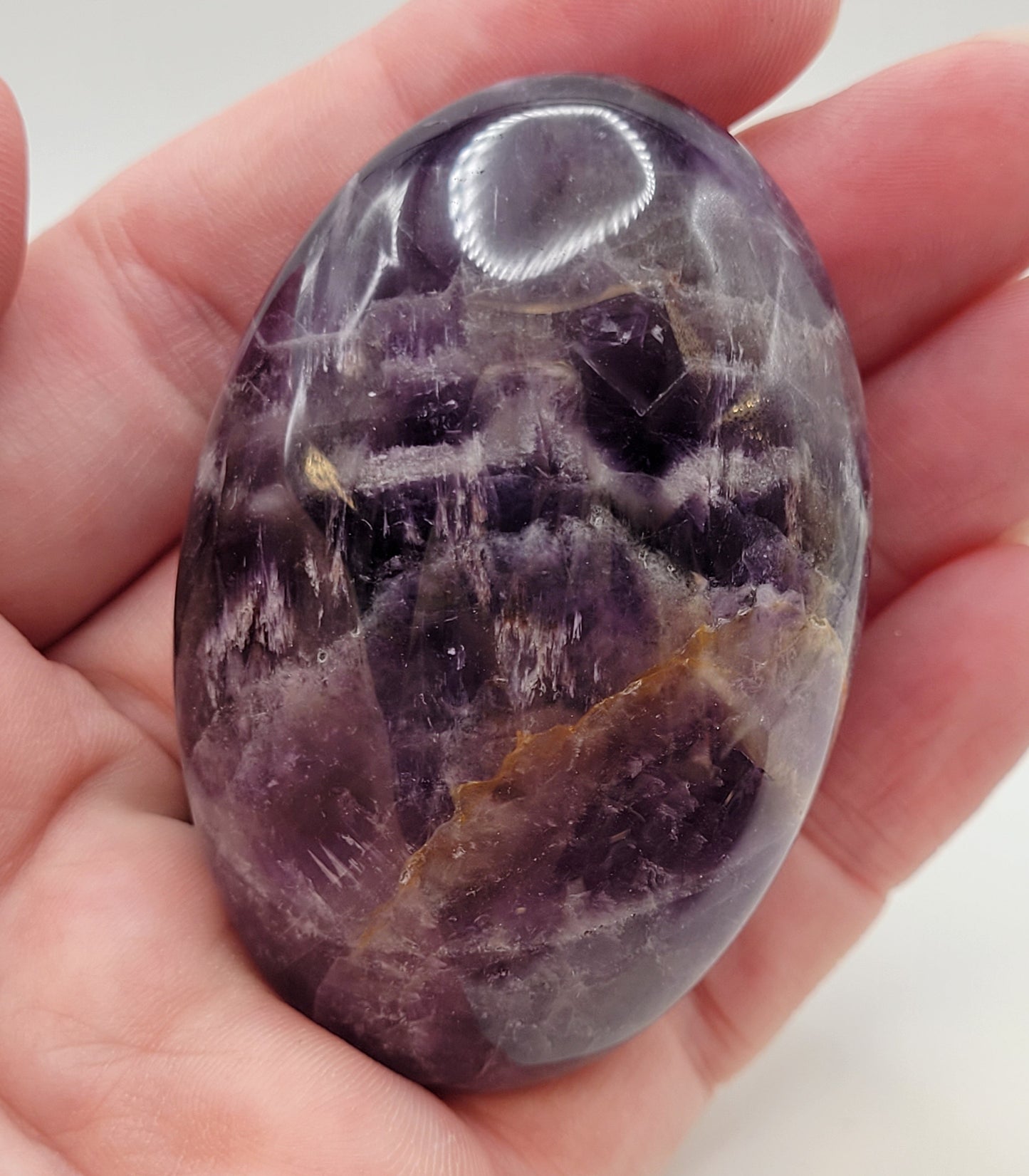 Dream Amethyst palm