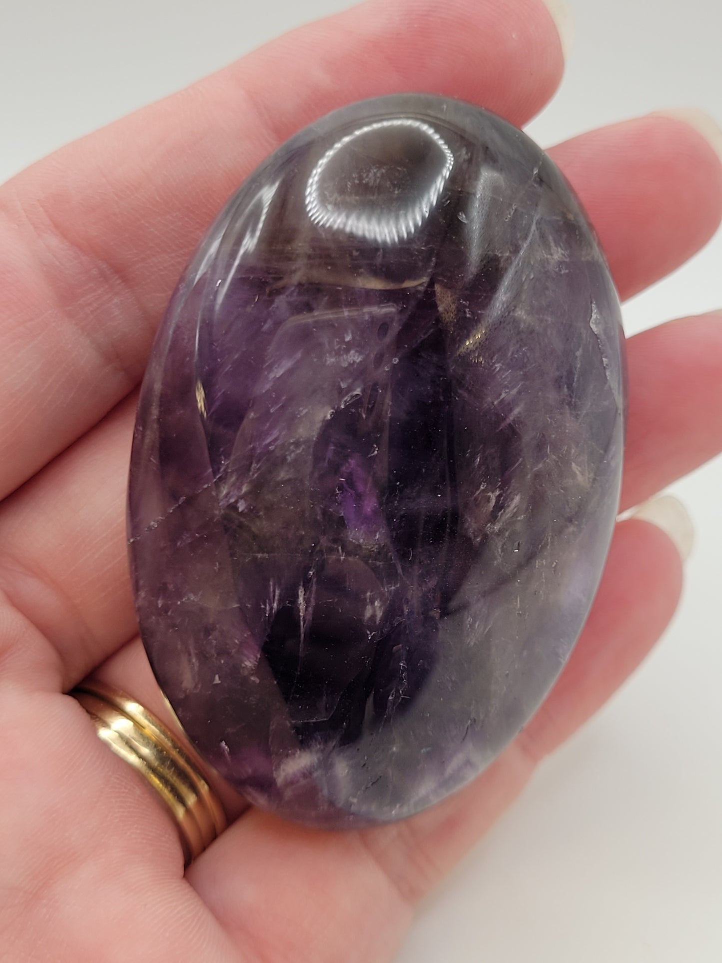 Dream Amethyst palm