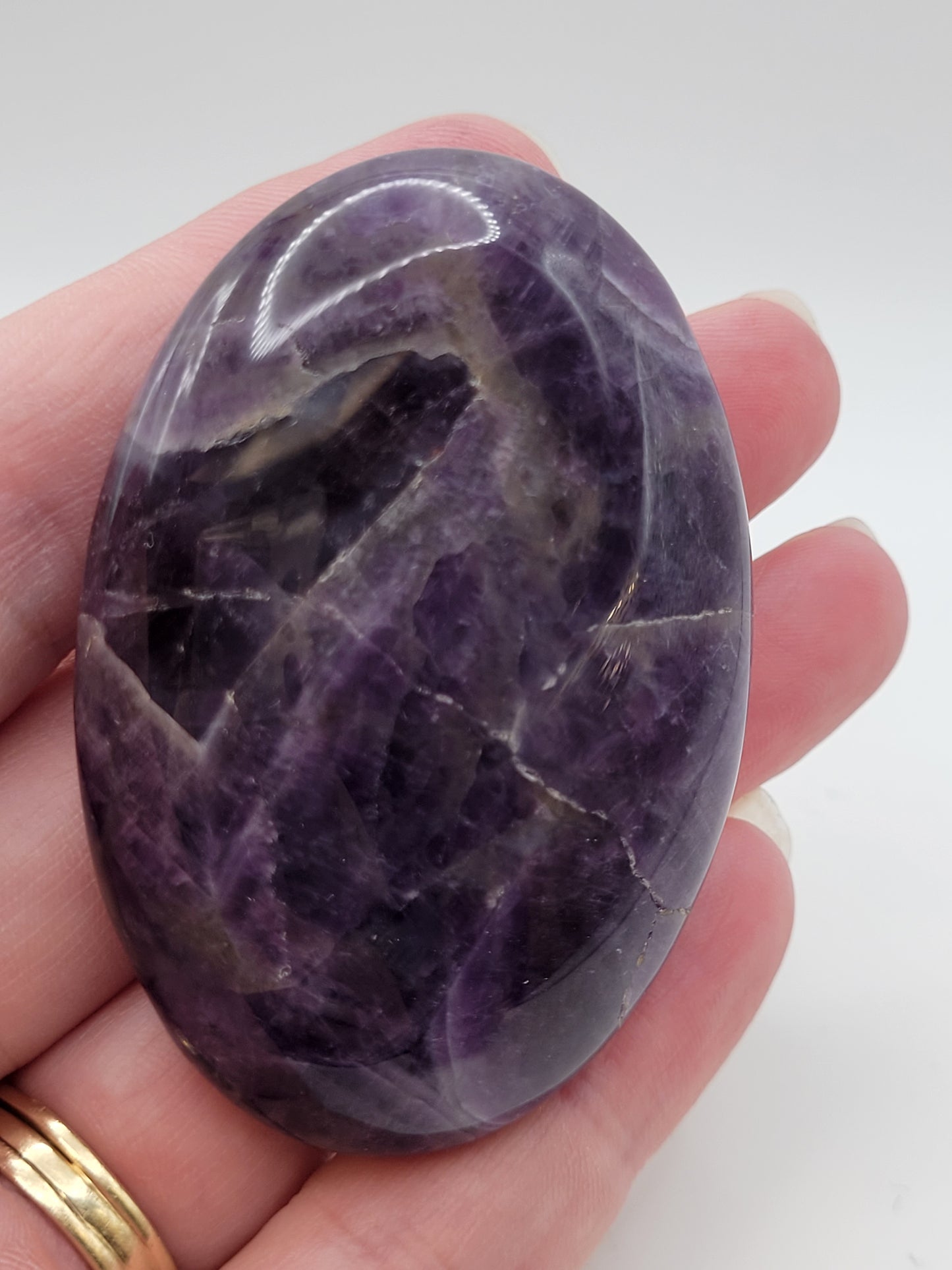 Dream Amethyst palm