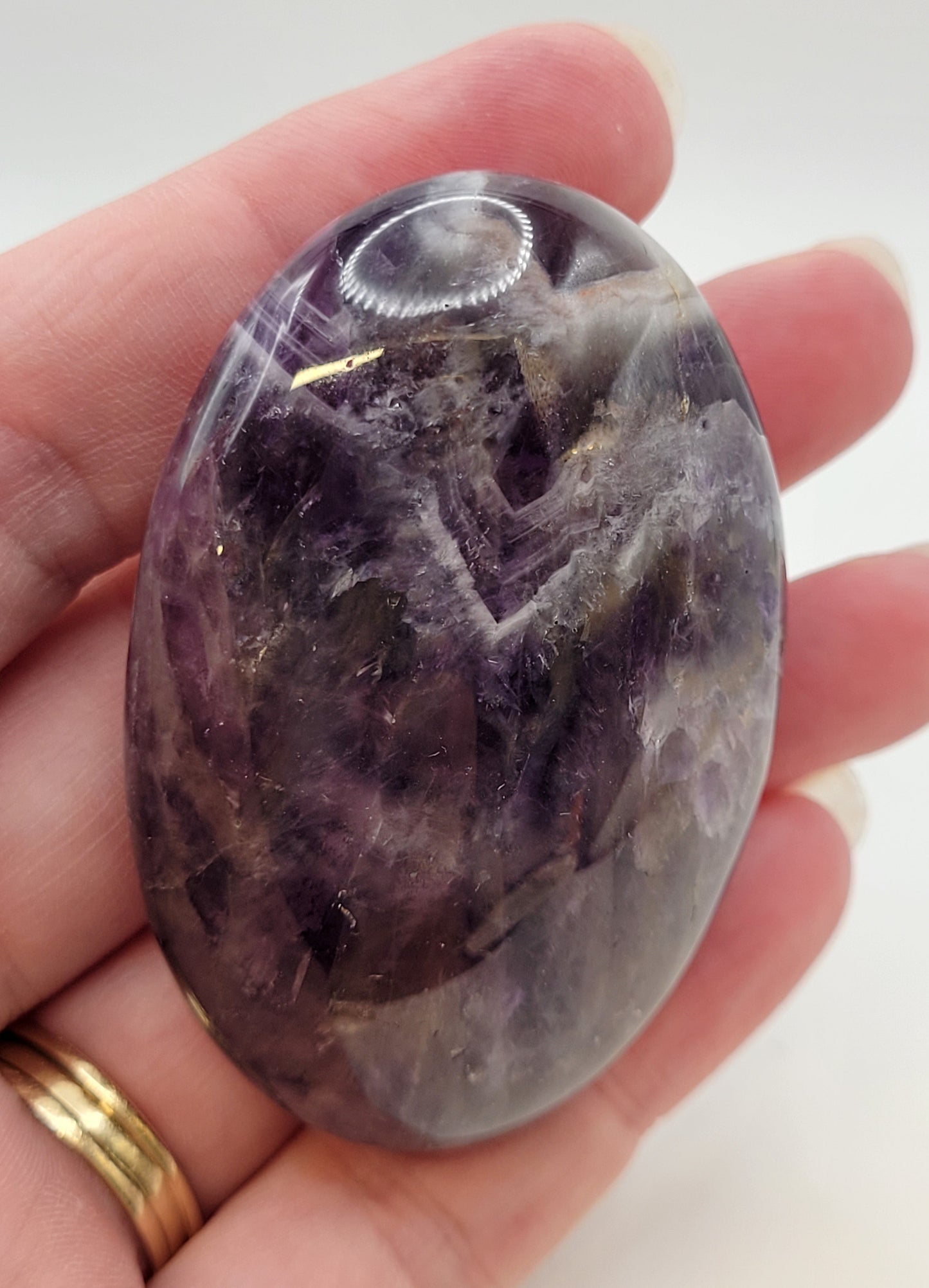 Dream Amethyst palm