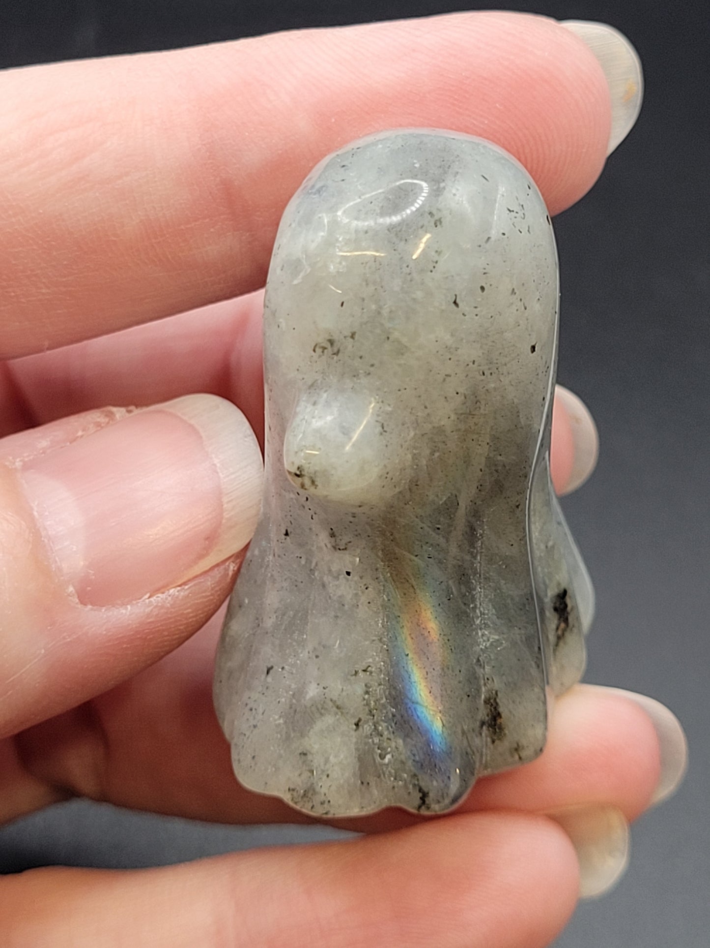 Ghost - Labradorite