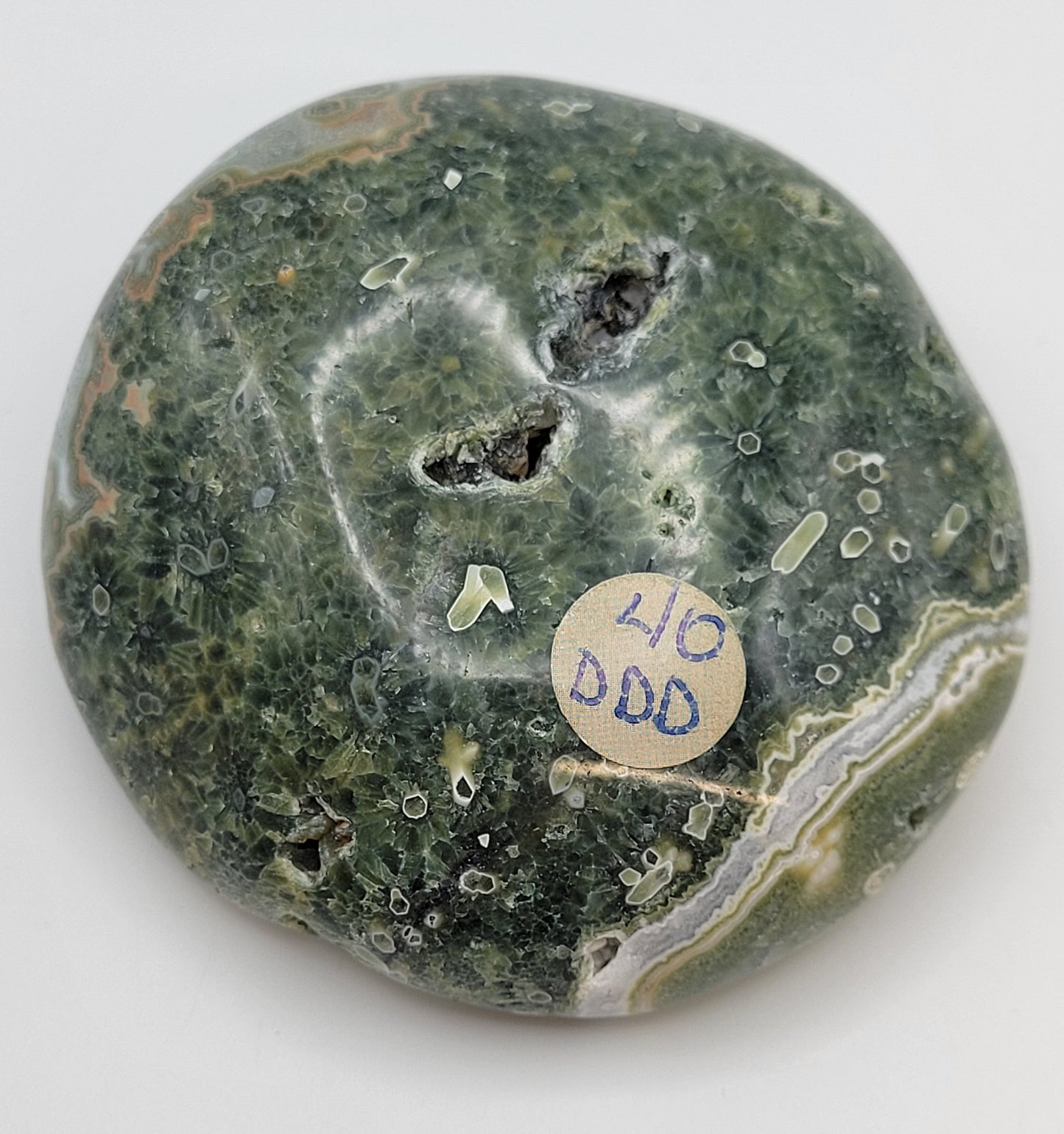 Palm - 7th vein Ocean Jasper