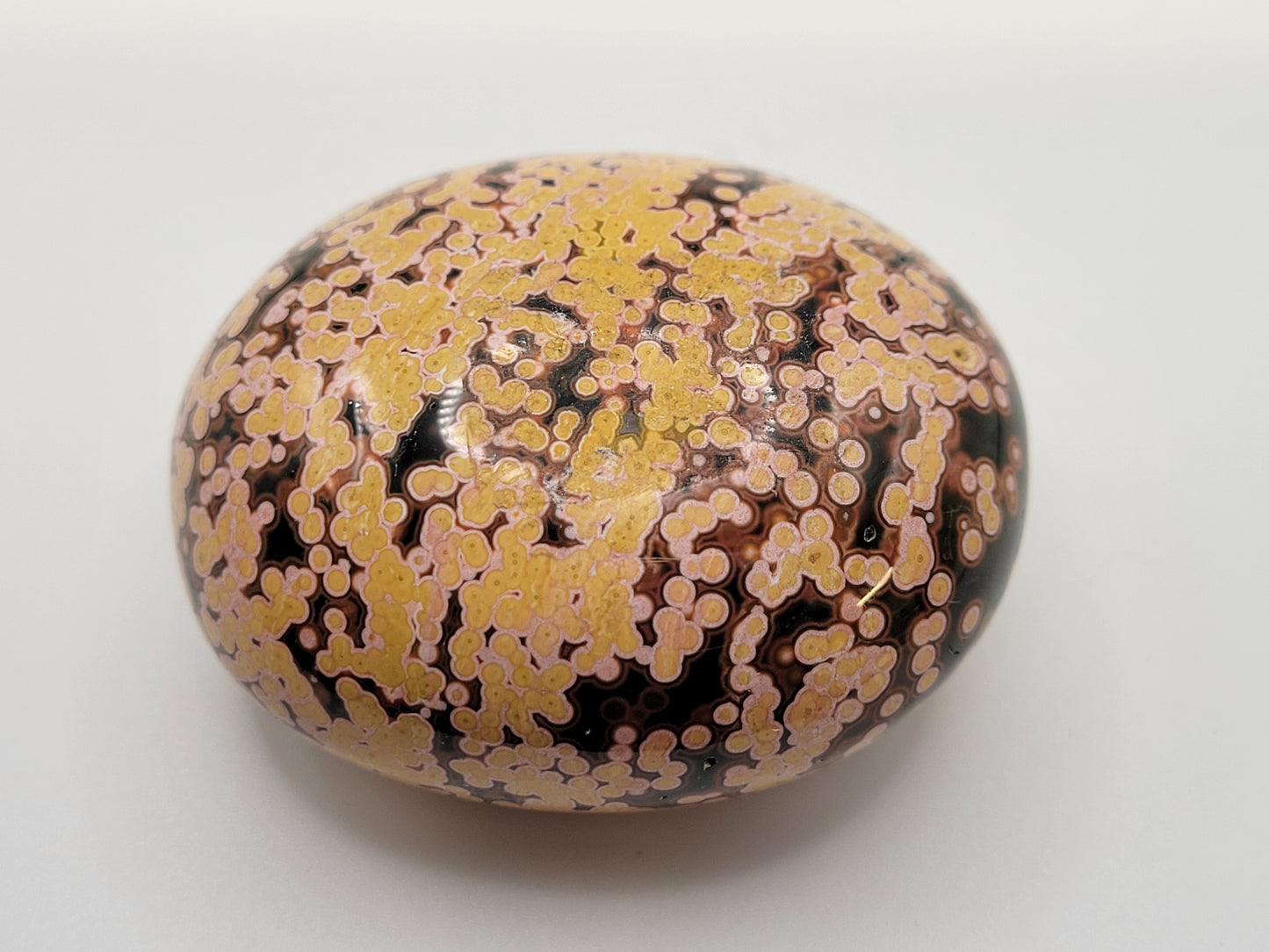 Palm - New veinless Ocean Jasper