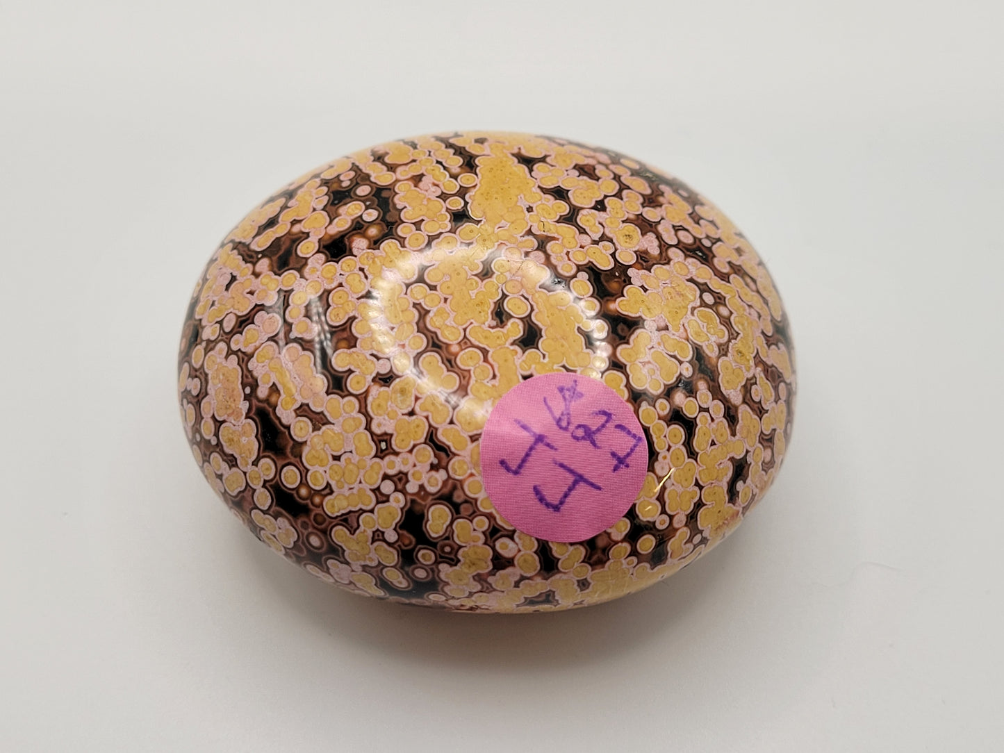 Palm - New veinless Ocean Jasper