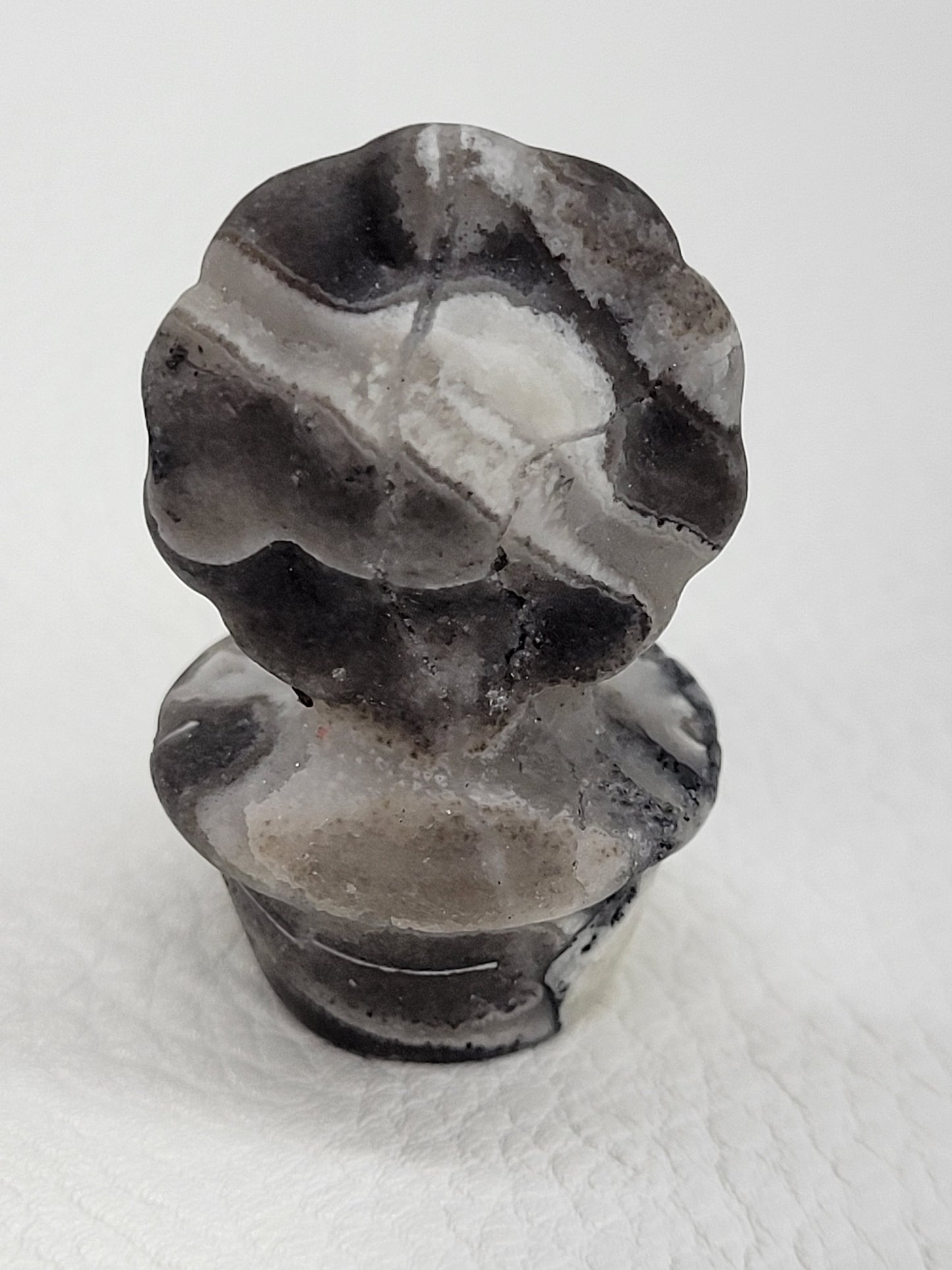 Sunflowers in flower pot