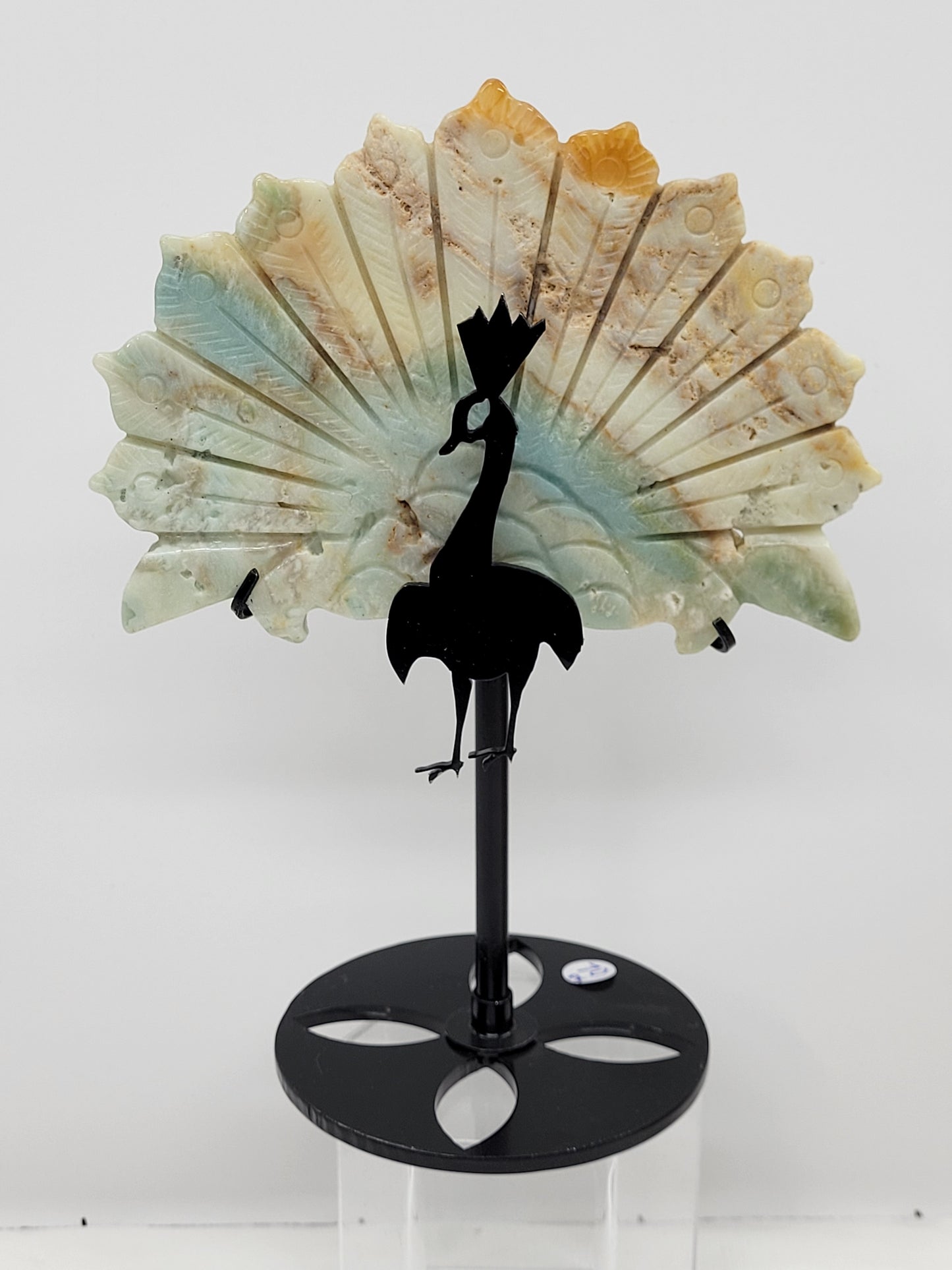 Wing - Caribbean Calcite peacock