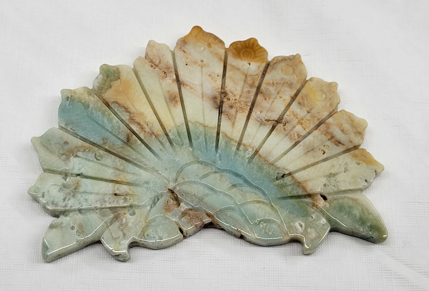 Wing - Caribbean Calcite peacock