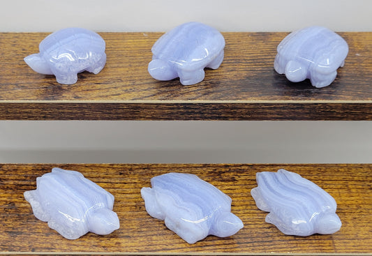 Turtle - Blue Lace Agate (small)