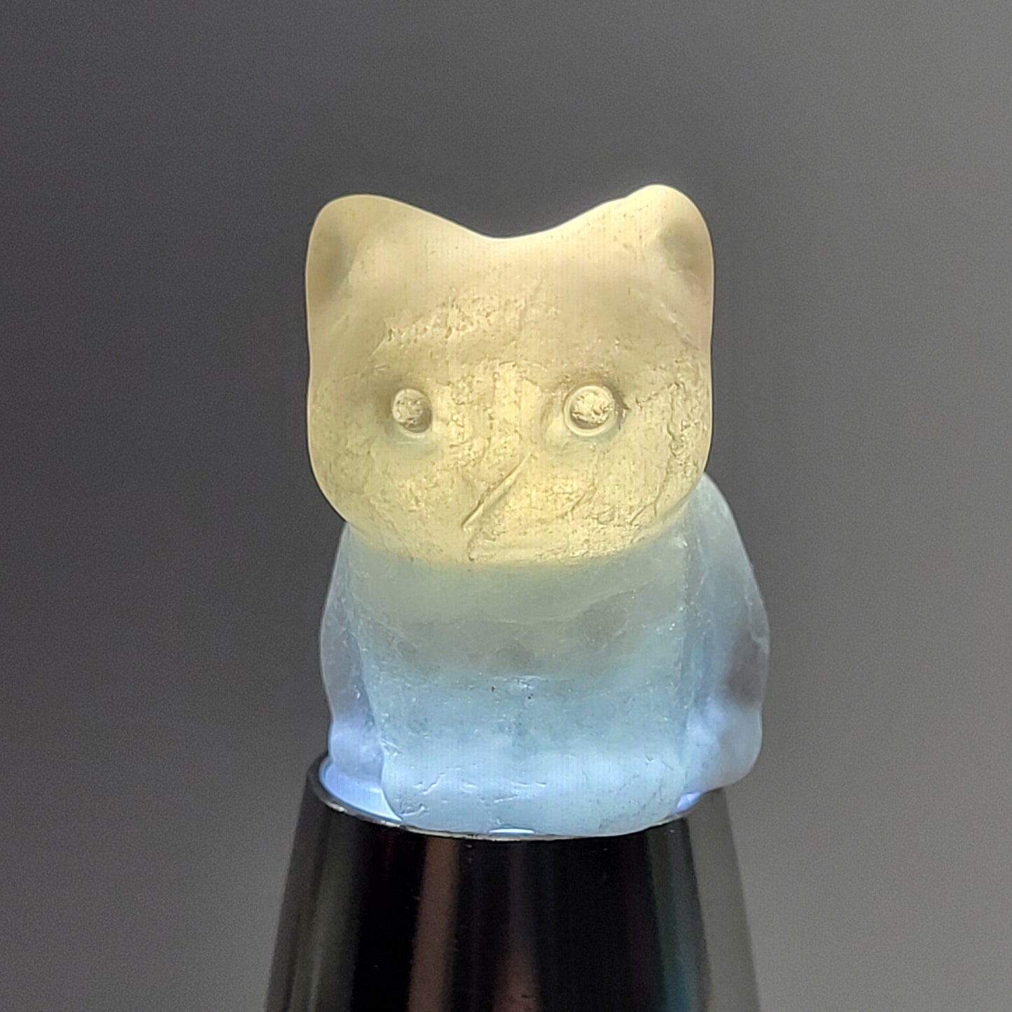 Cute cat/kitty carvings (small)