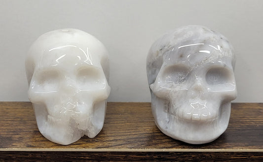 Skull medium - Dendritic Opal