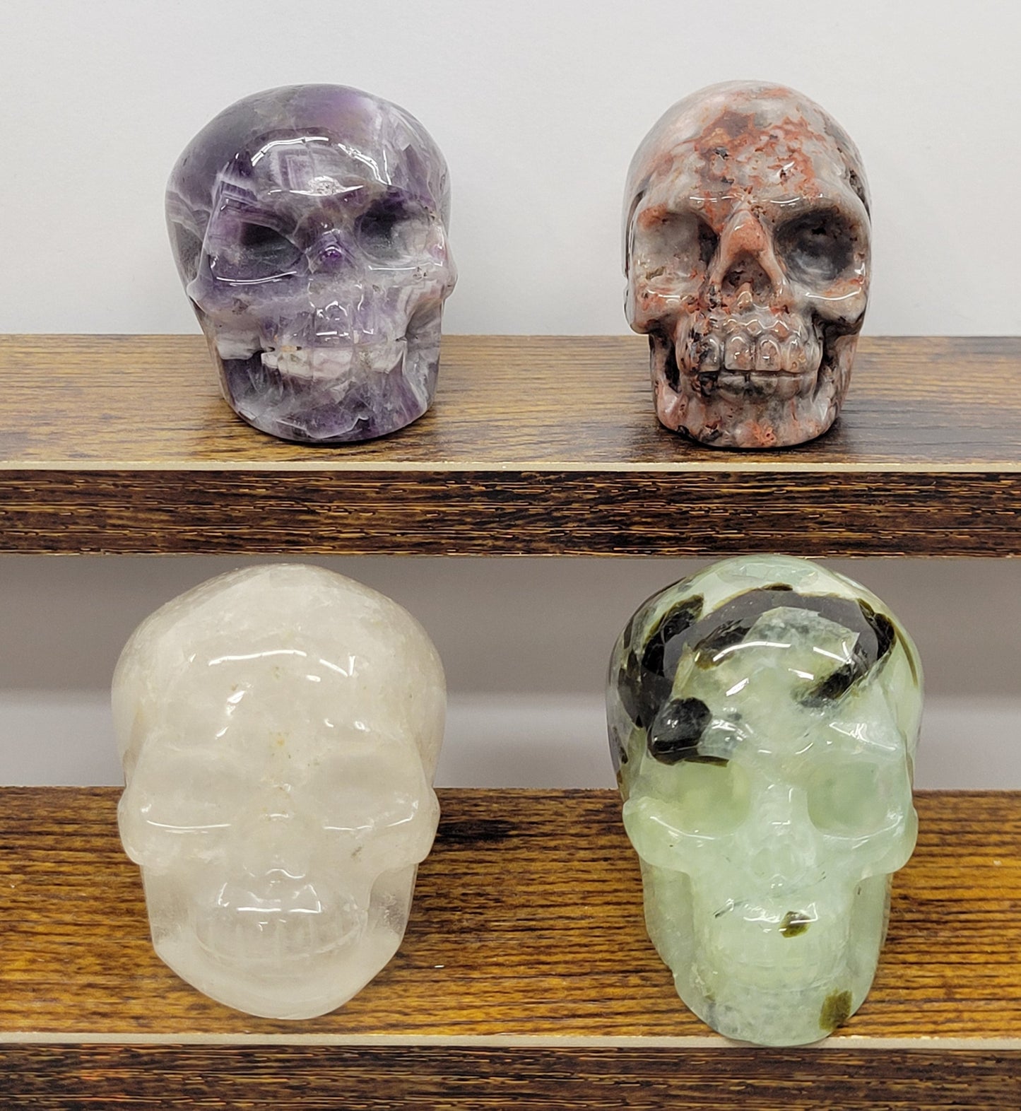 Skull small - Variety of material