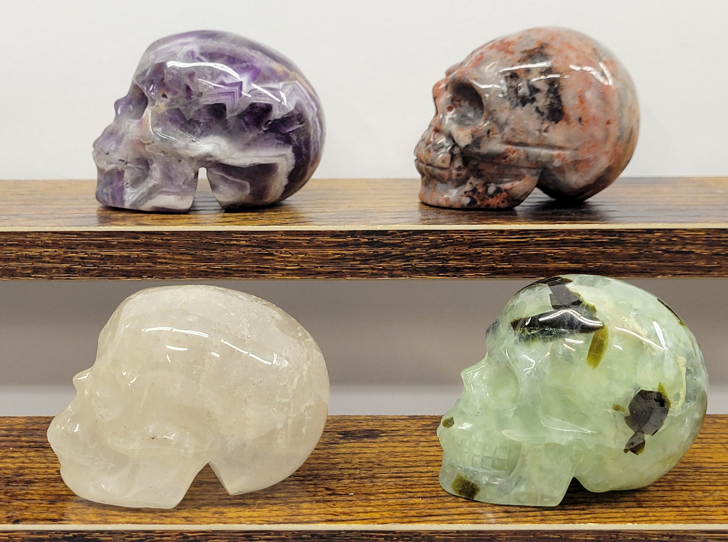 Skull small - Variety of material