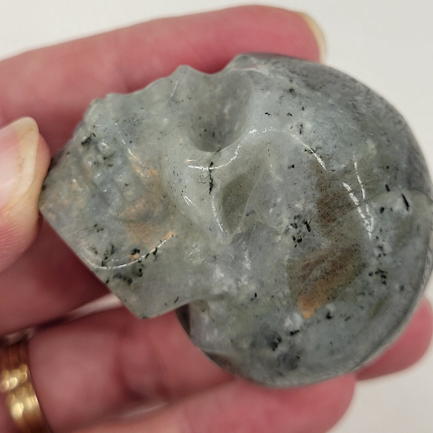 Skull small - Variety of material
