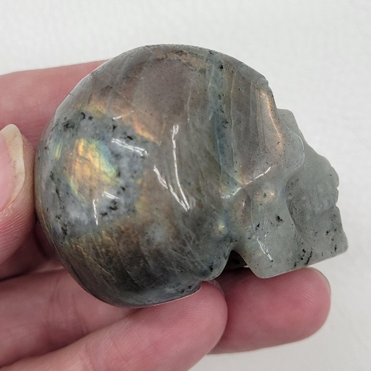 Skull small - Variety of material