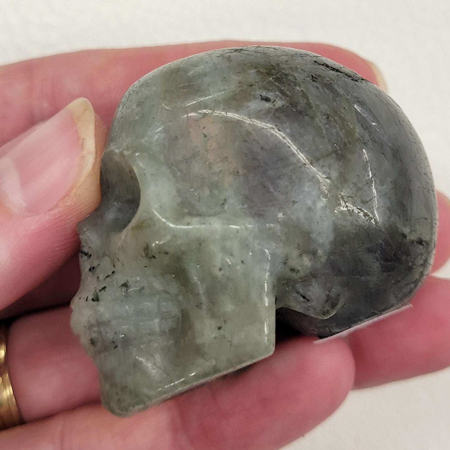 Skull small - Variety of material