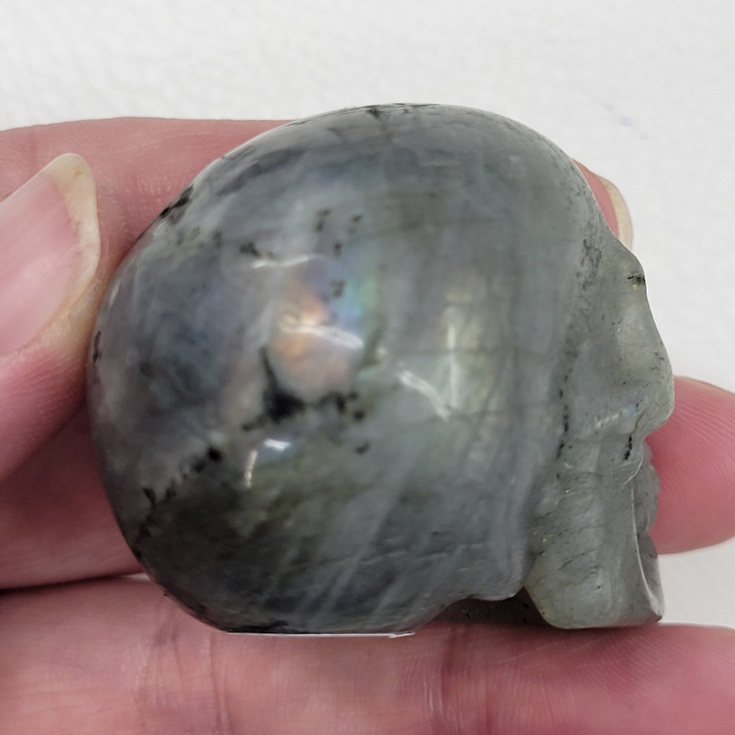 Skull small - Variety of material