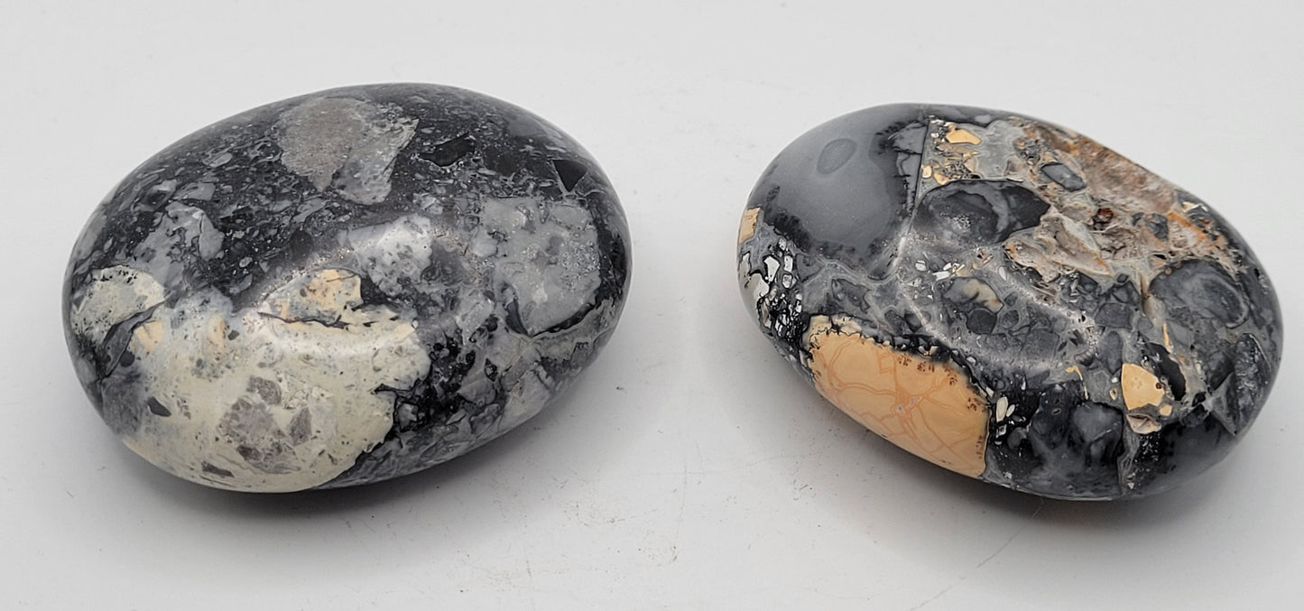 Palm - Maligano Jasper