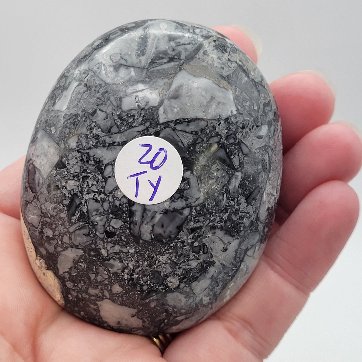 Palm - Maligano Jasper