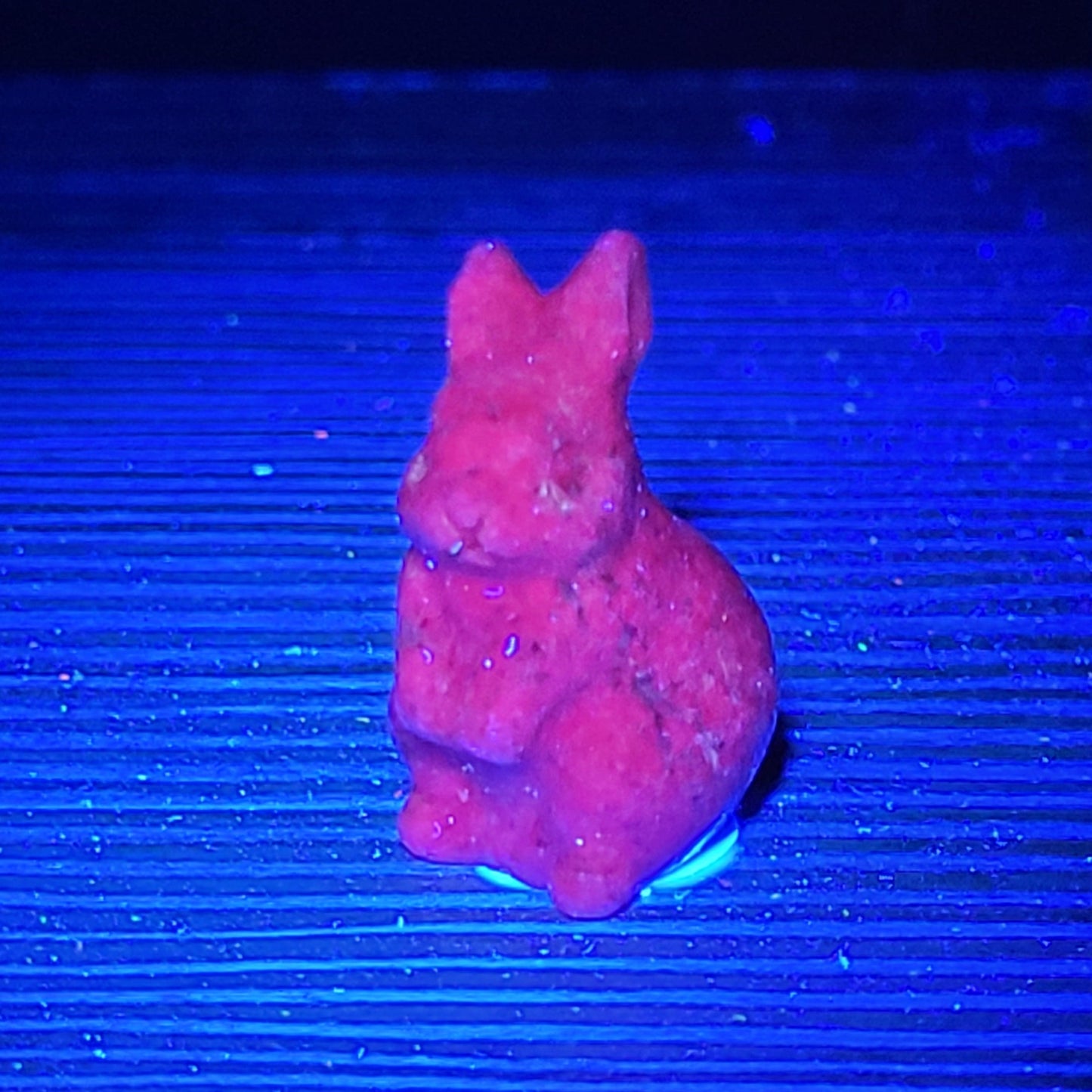 Rabbit/bunny carvings