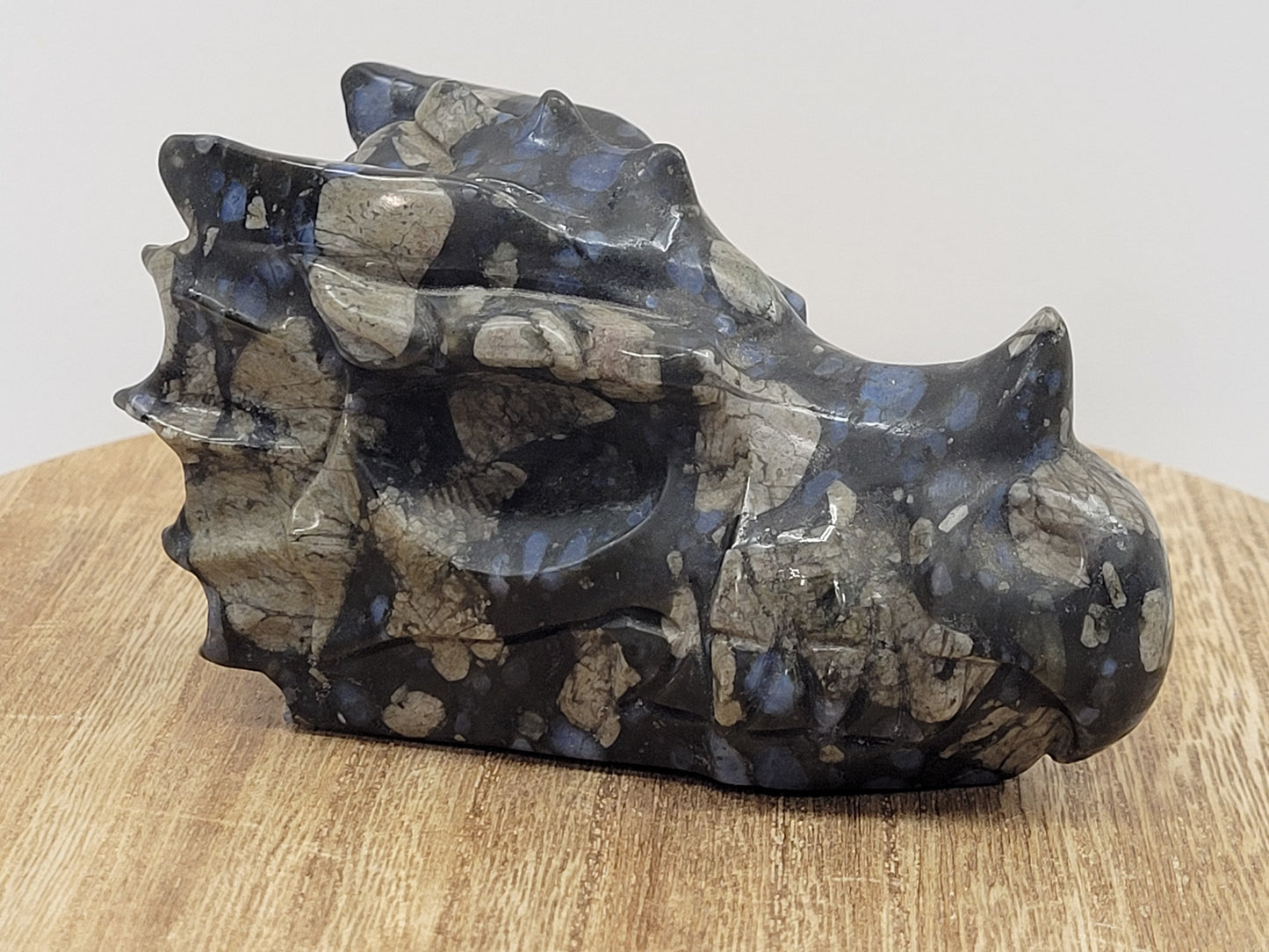 Dragon head - Que Sera (XL)