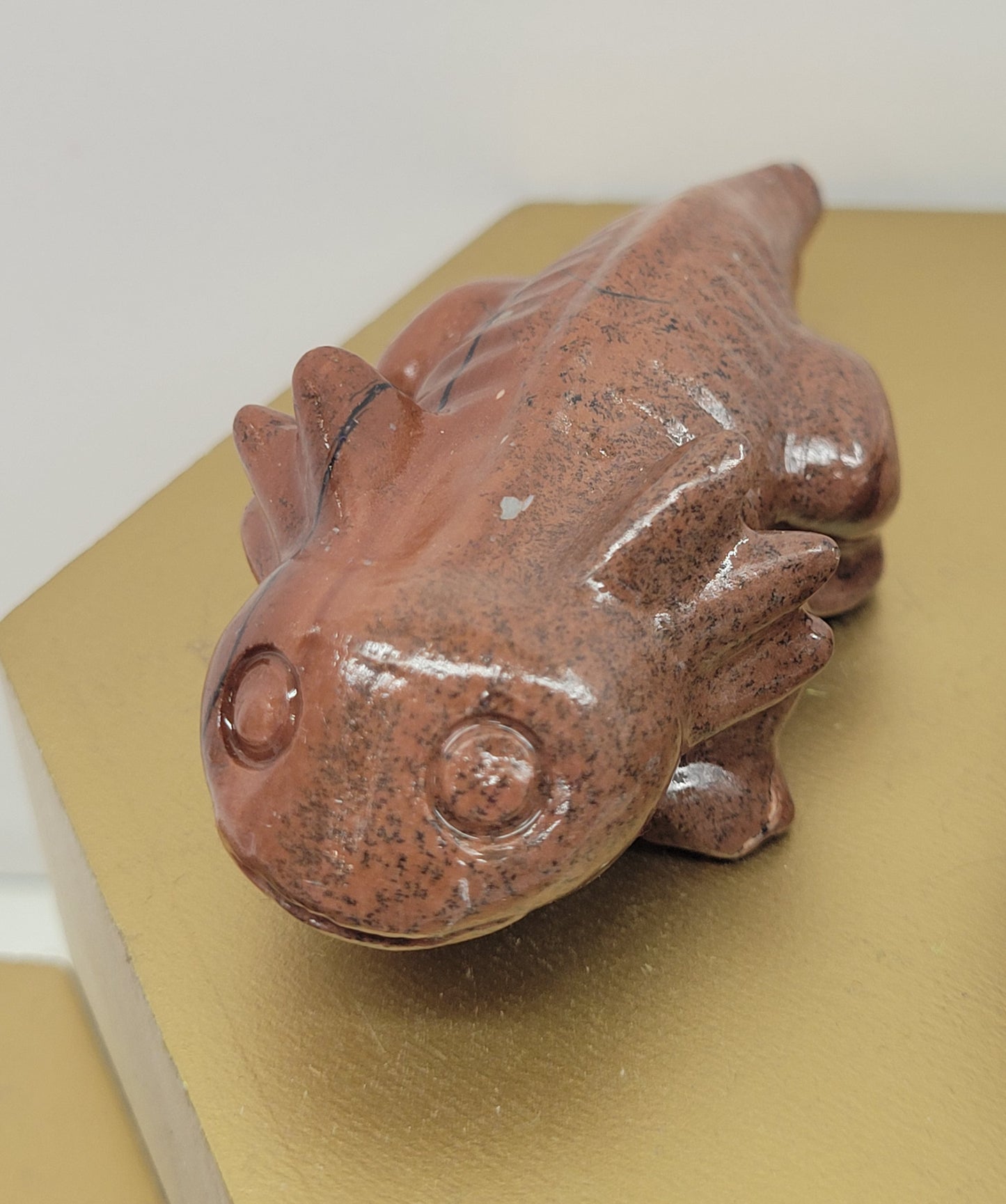Picture Jasper axolotls