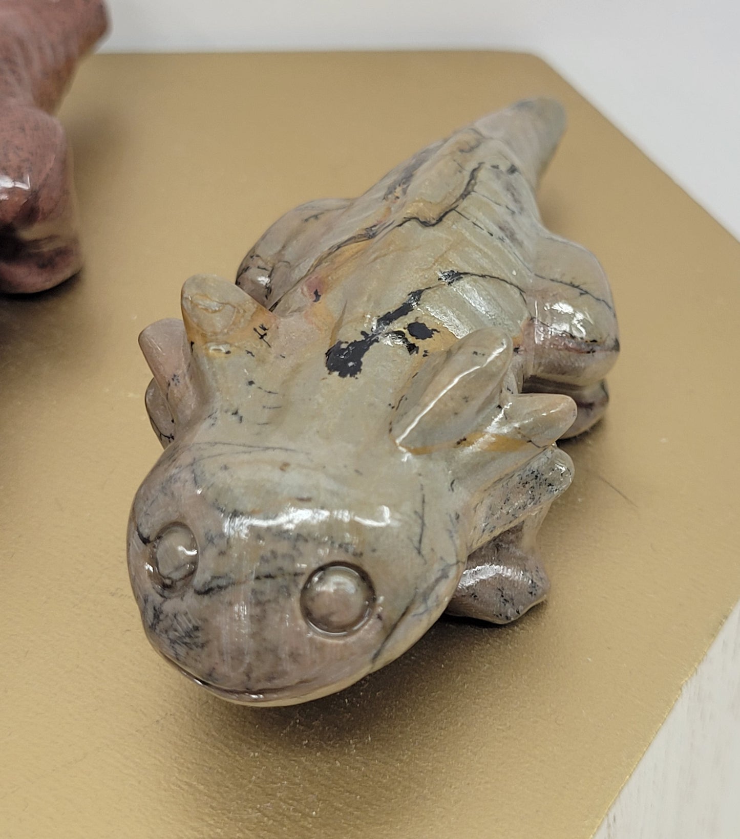 Picture Jasper axolotls