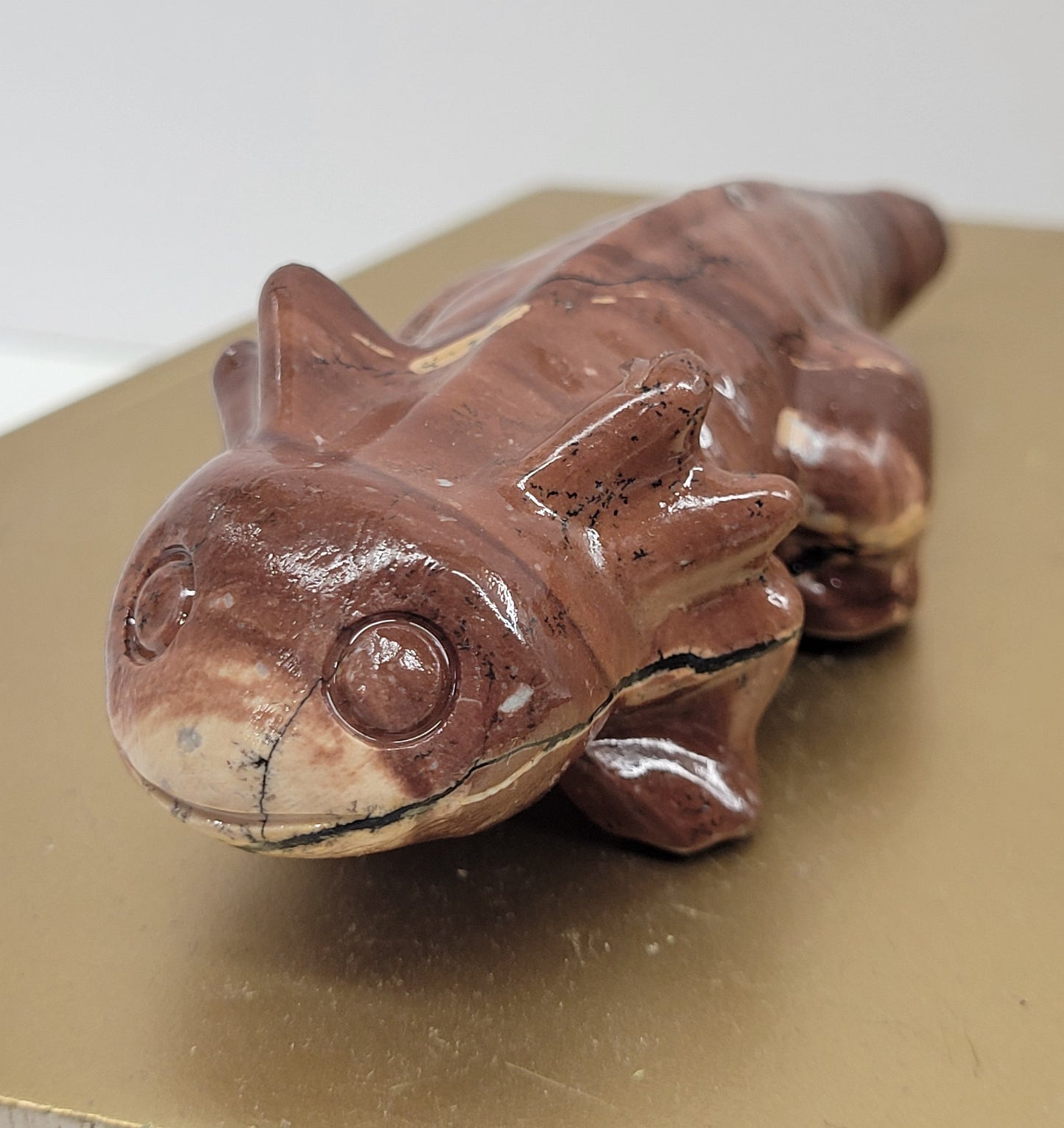 Picture Jasper axolotls