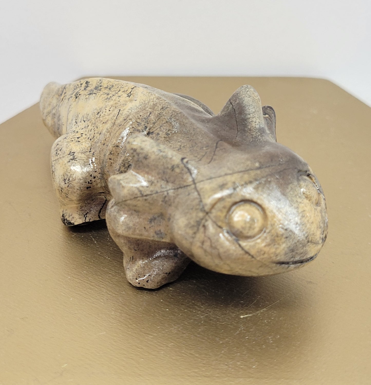 Picture Jasper axolotls