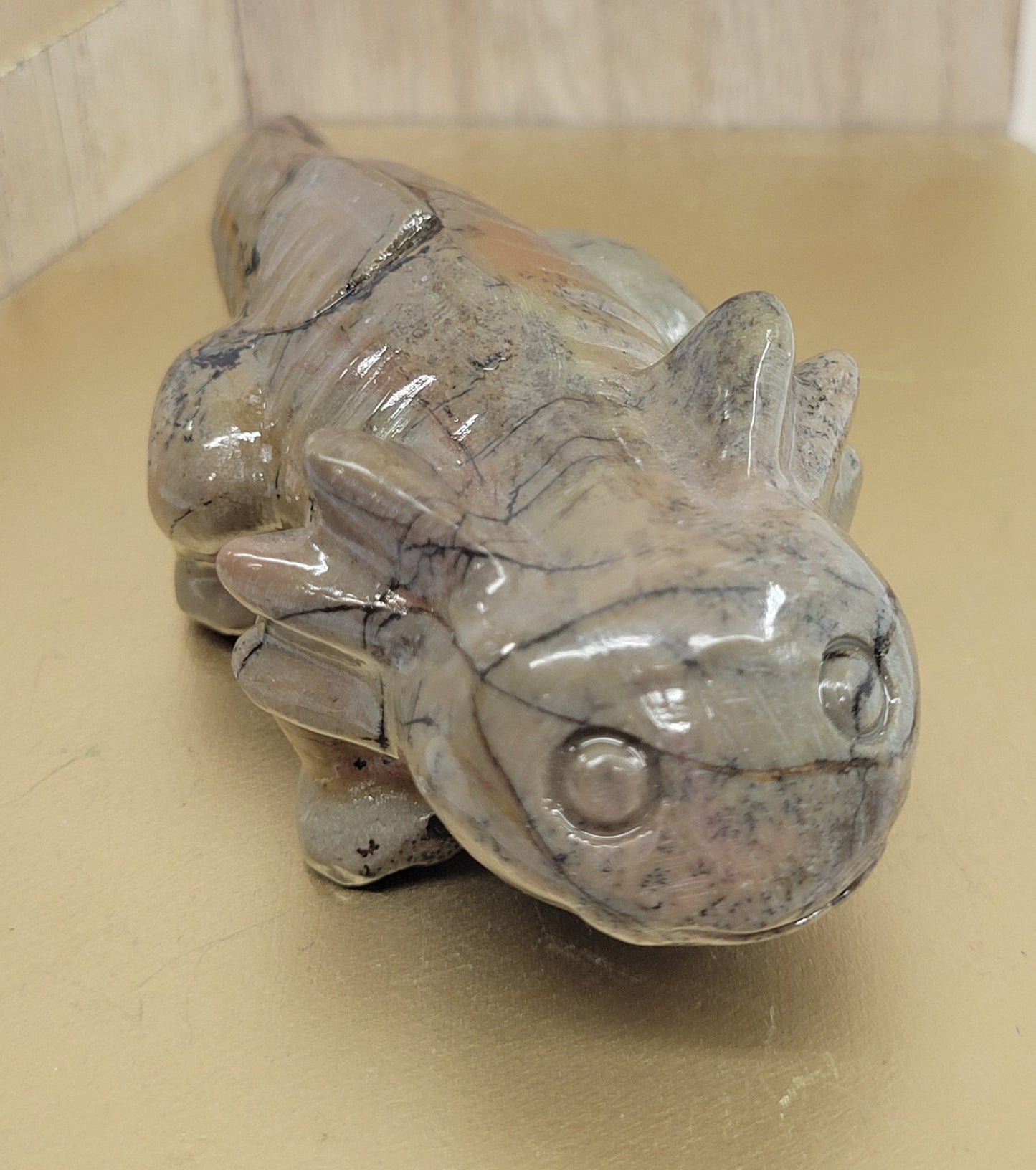Picture Jasper axolotls