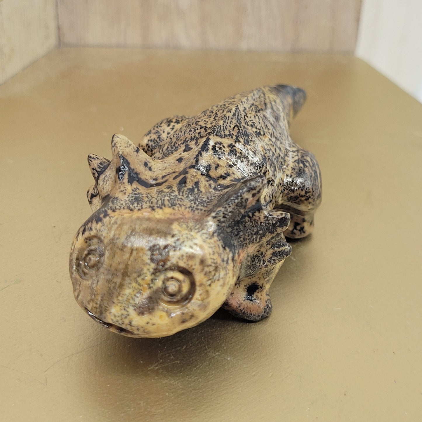 Picture Jasper axolotls