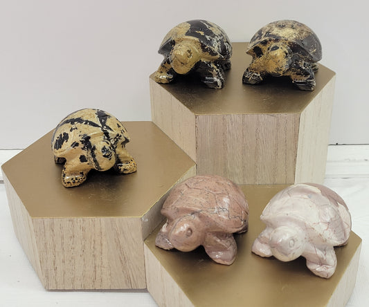 Turtle - Picture Jasper (M & L)
