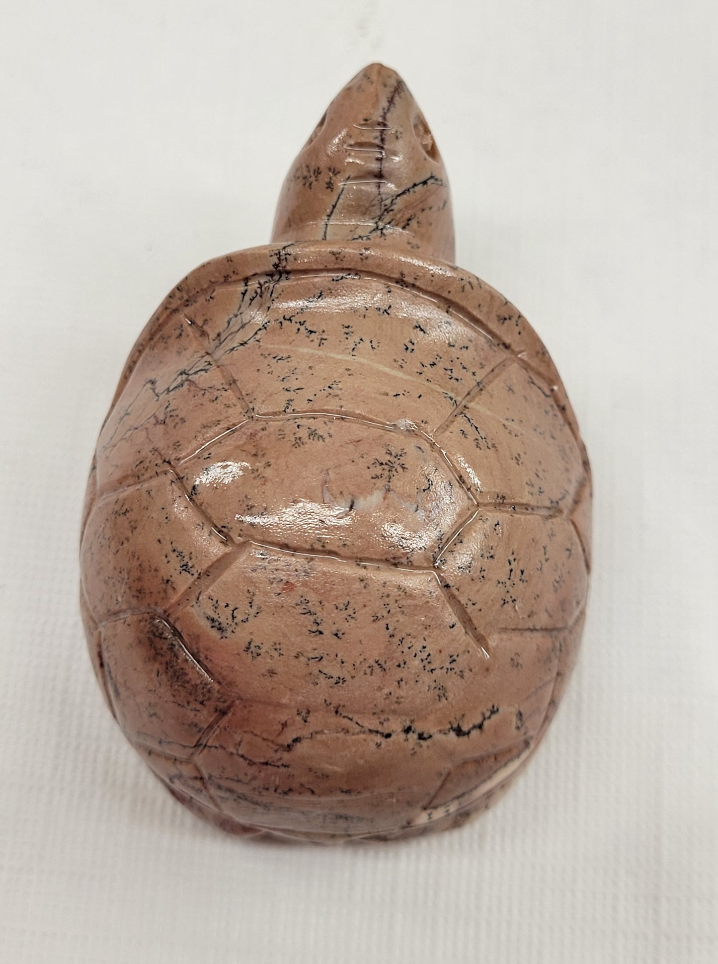 Turtle - Picture Jasper (M & L)