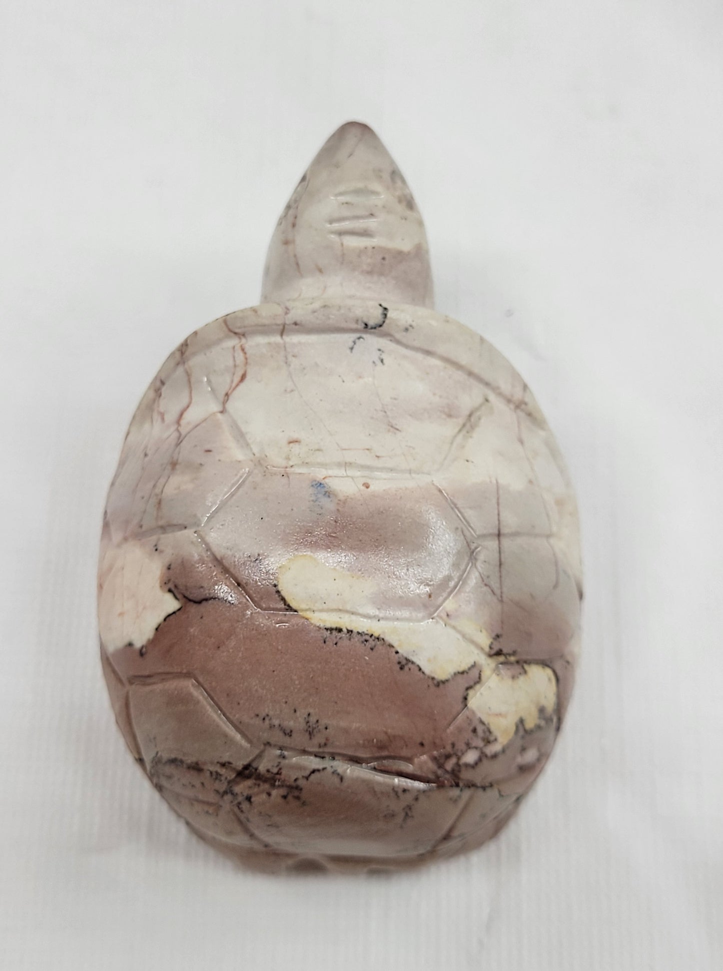 Turtle - Picture Jasper (M & L)