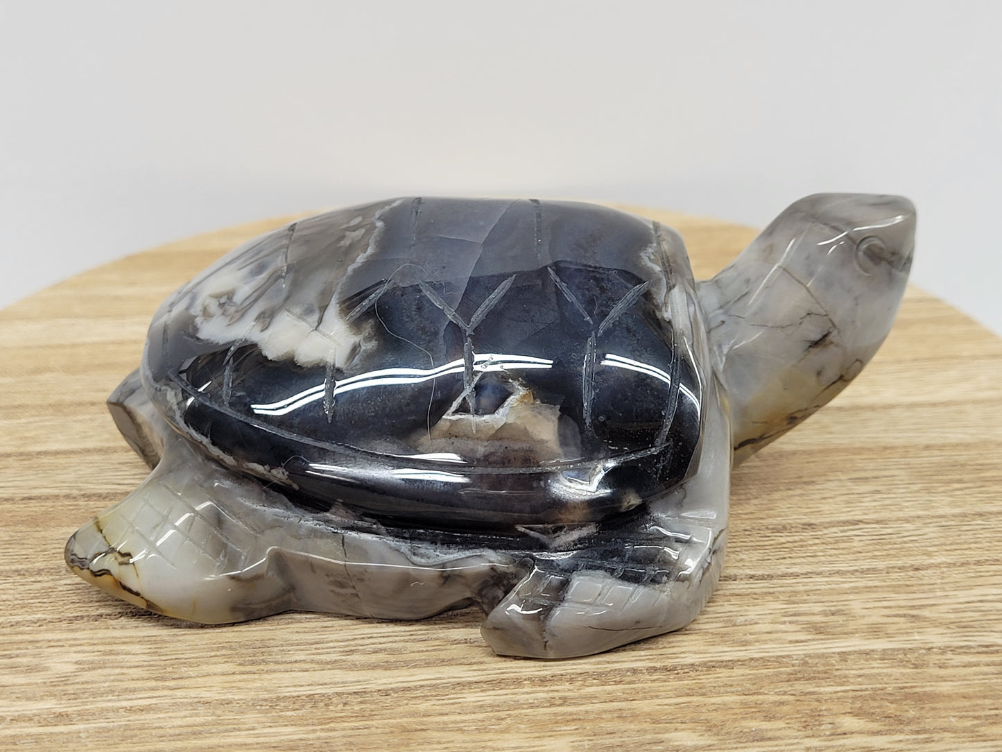 Sea turtle - Volcano Agate (XL)