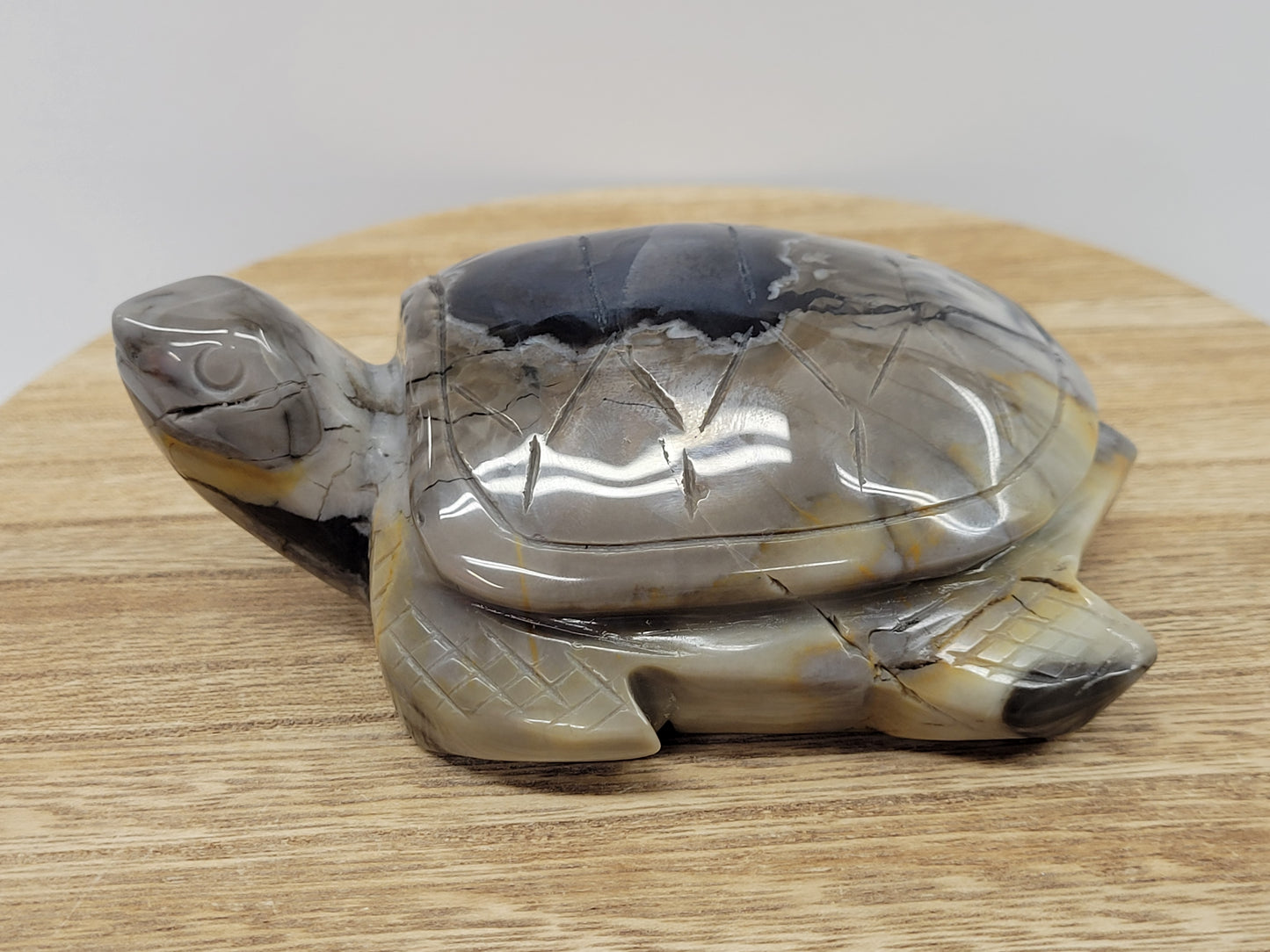 Sea turtle - Volcano Agate (XL)