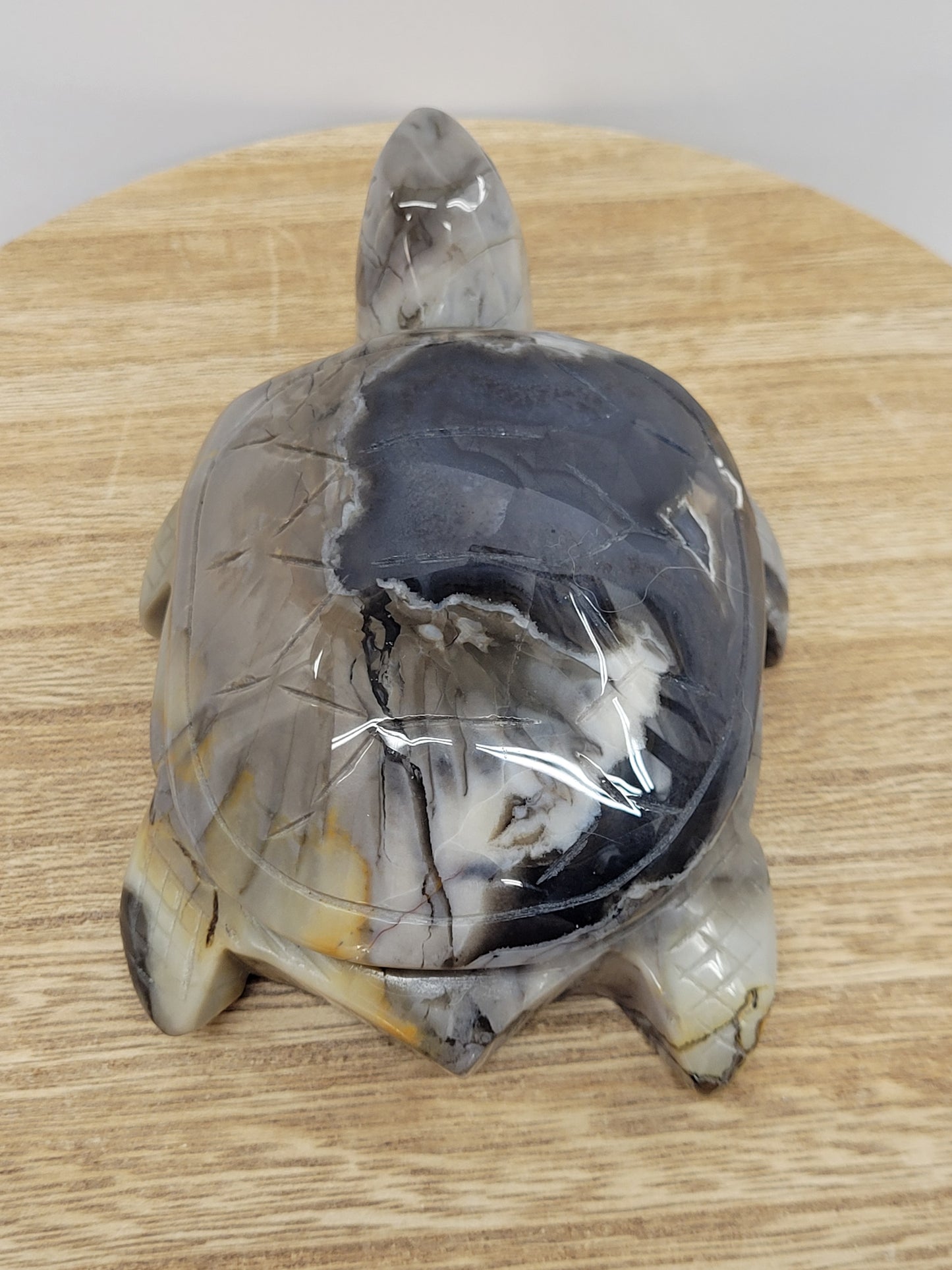 Sea turtle - Volcano Agate (XL)