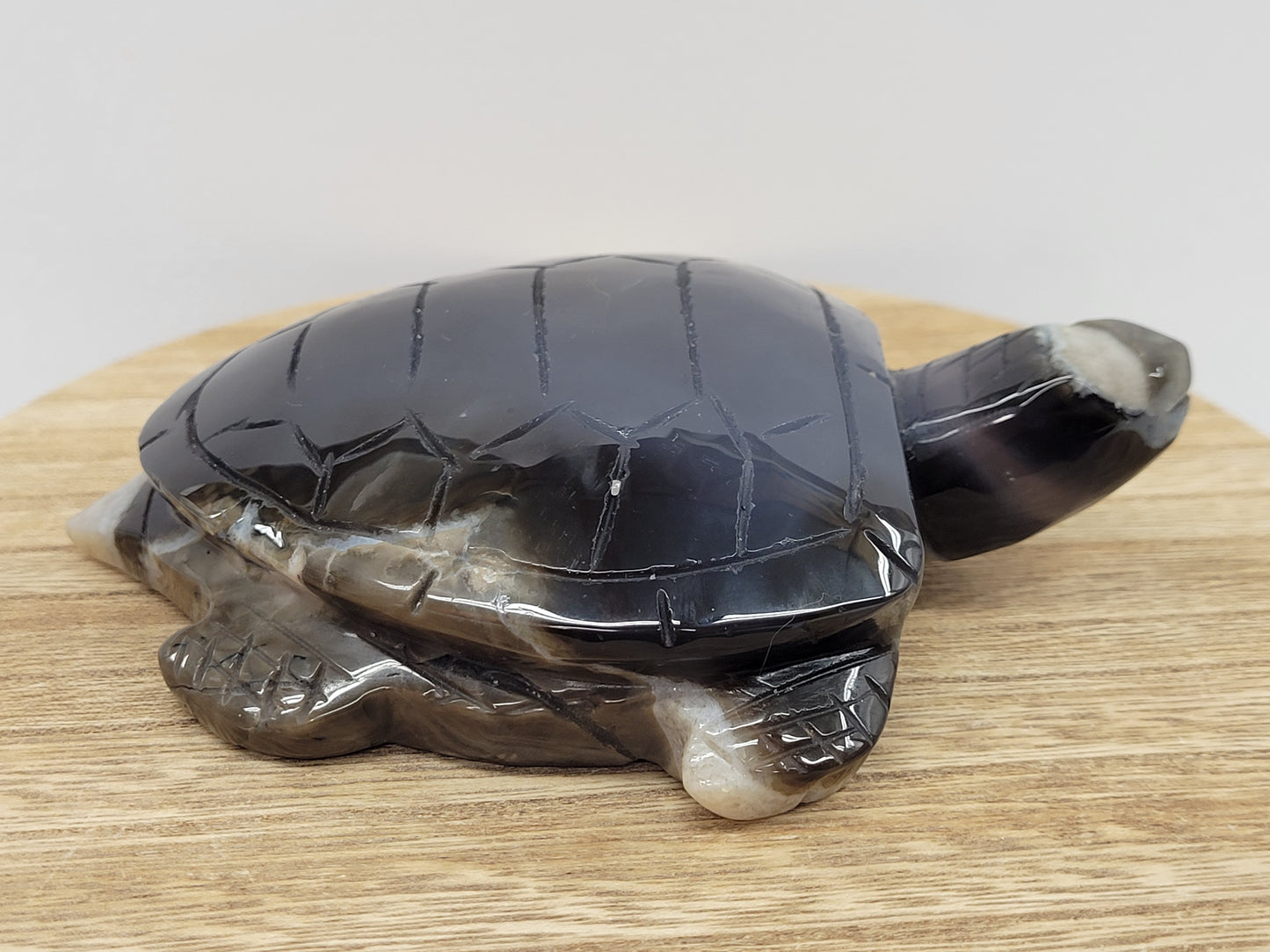 Sea turtle - Volcano Agate (XL)