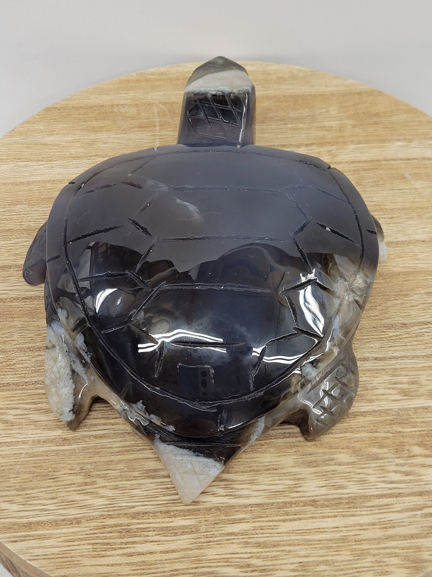 Sea turtle - Volcano Agate (XL)