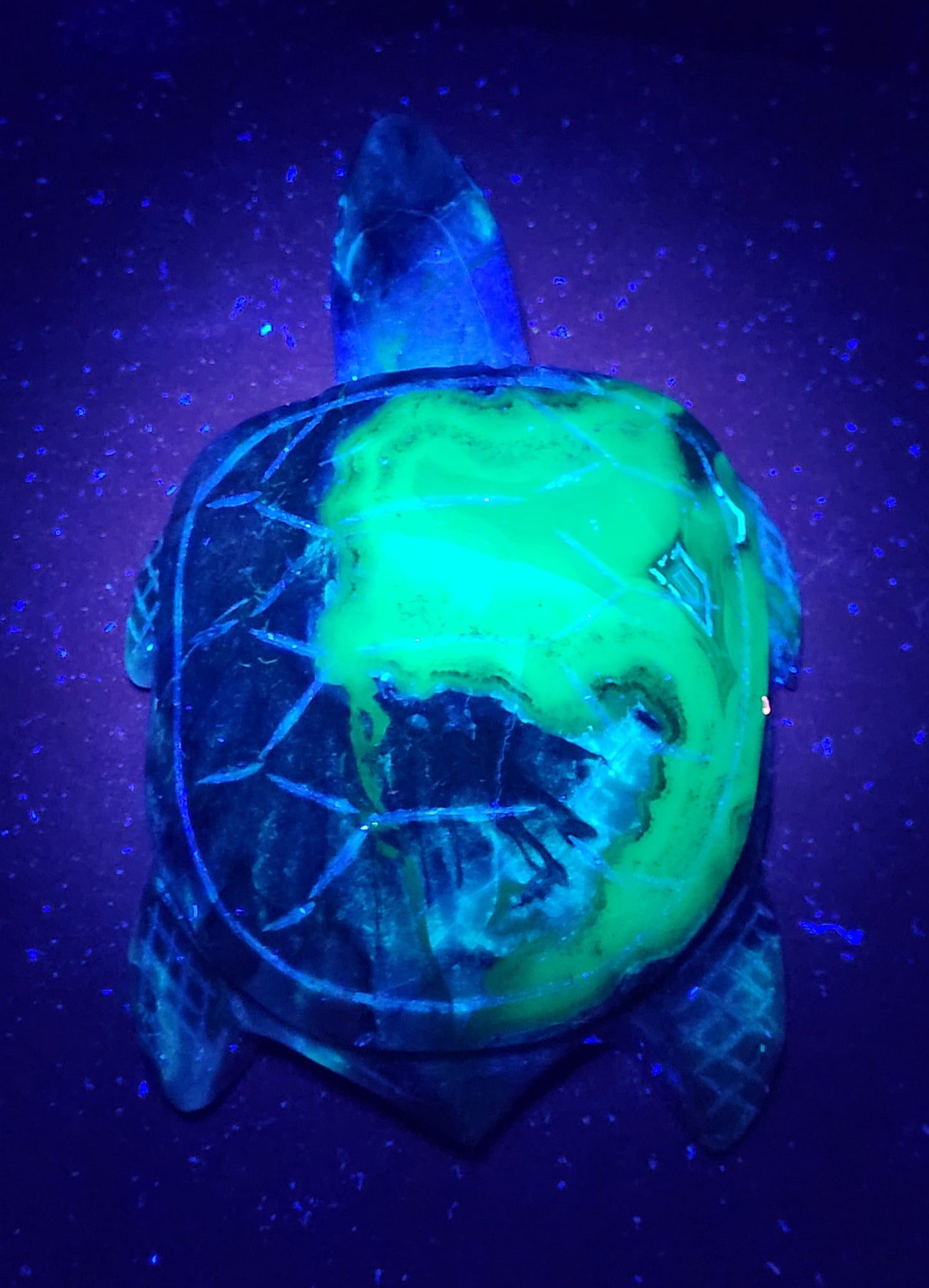 Sea turtle - Volcano Agate (XL)