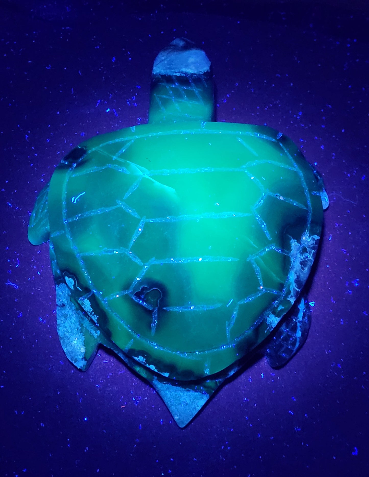 Sea turtle - Volcano Agate (XL)