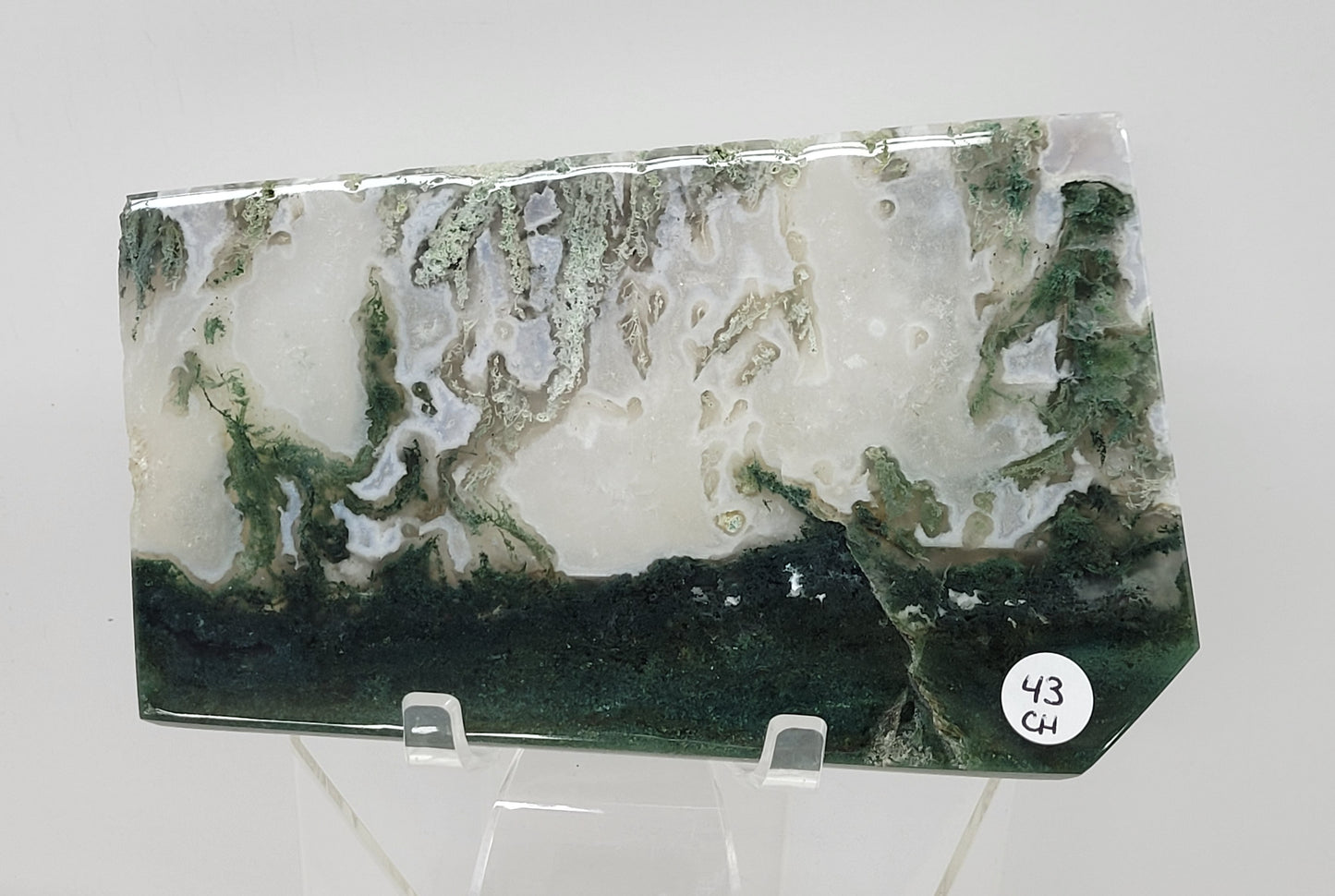 Slab - Moss Agate