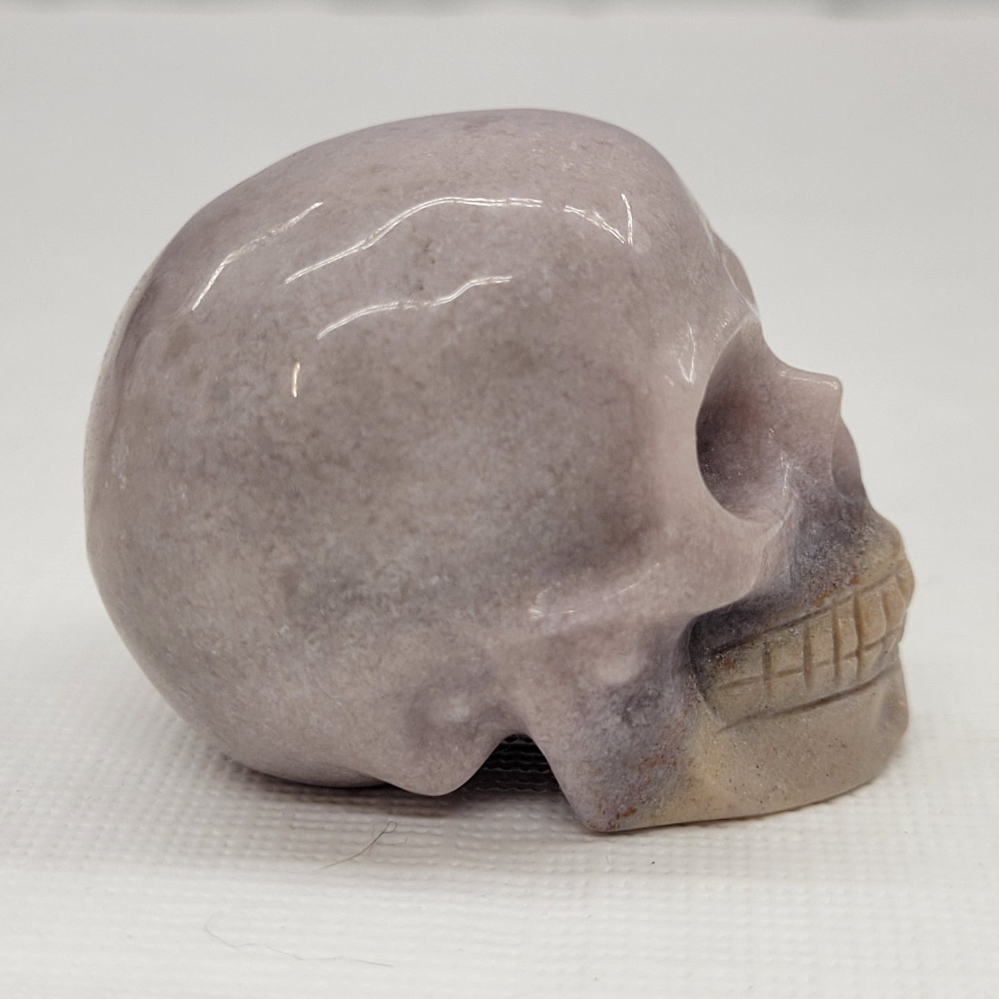 Skull small - Variety of material