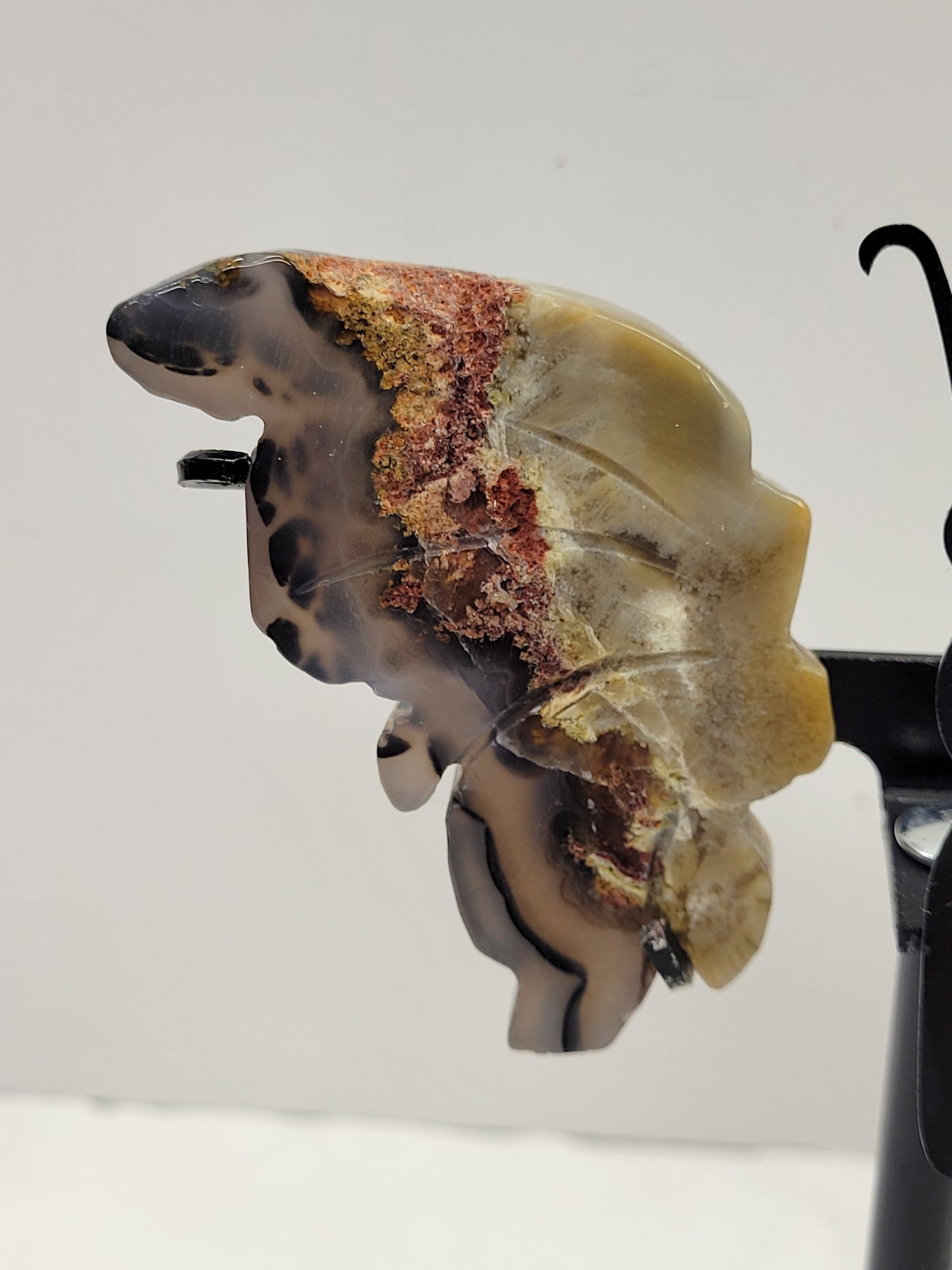 Wings - Volcano Agate butterfly