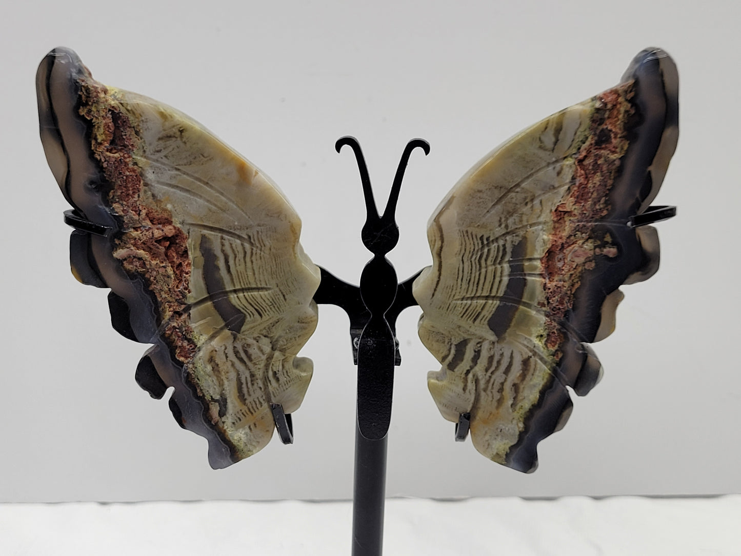 Wings - Volcano Agate butterfly