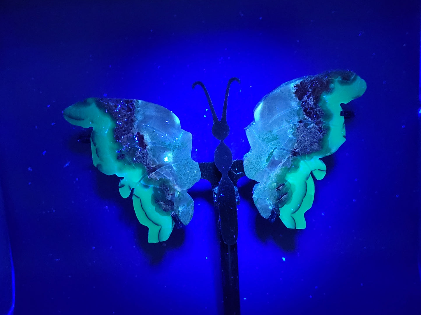 Wings - Volcano Agate butterfly